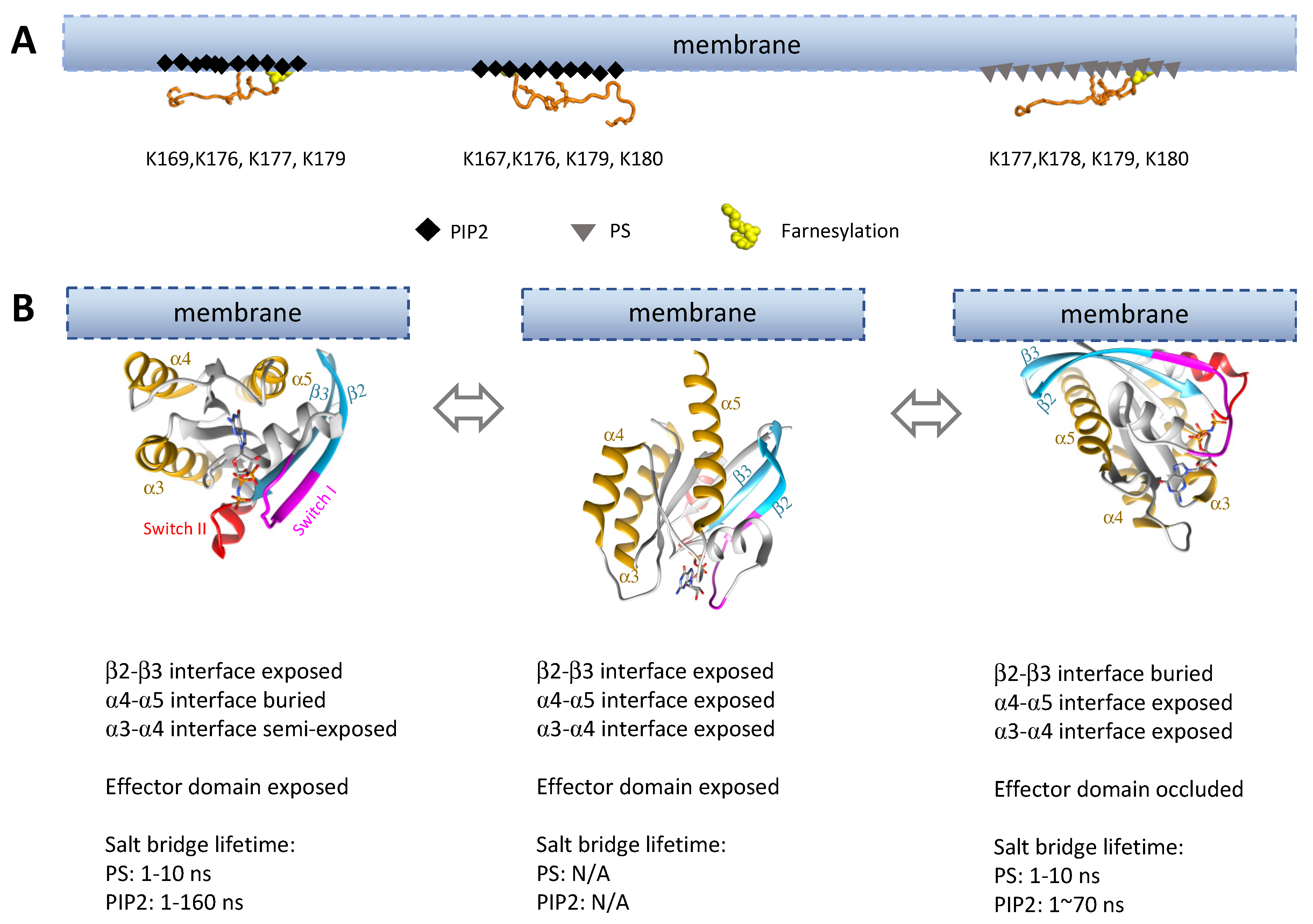 Genes 13 00219 g005 Genes 13 00219 g005