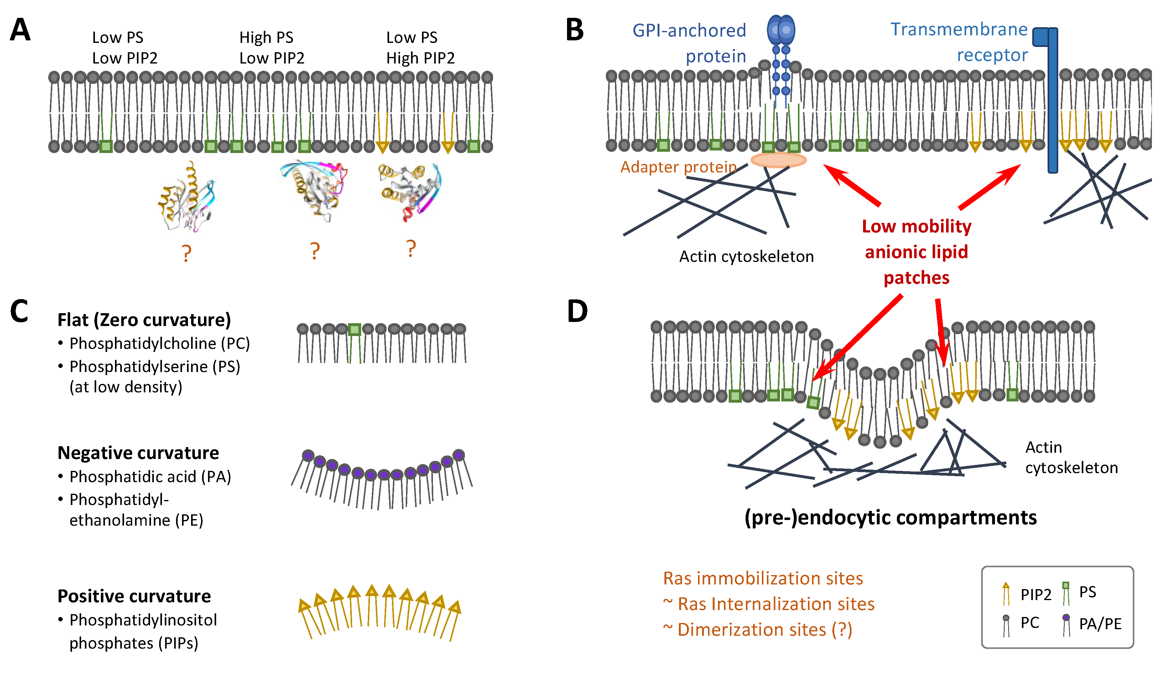 Genes 13 00219 g006 Genes 13 00219 g006