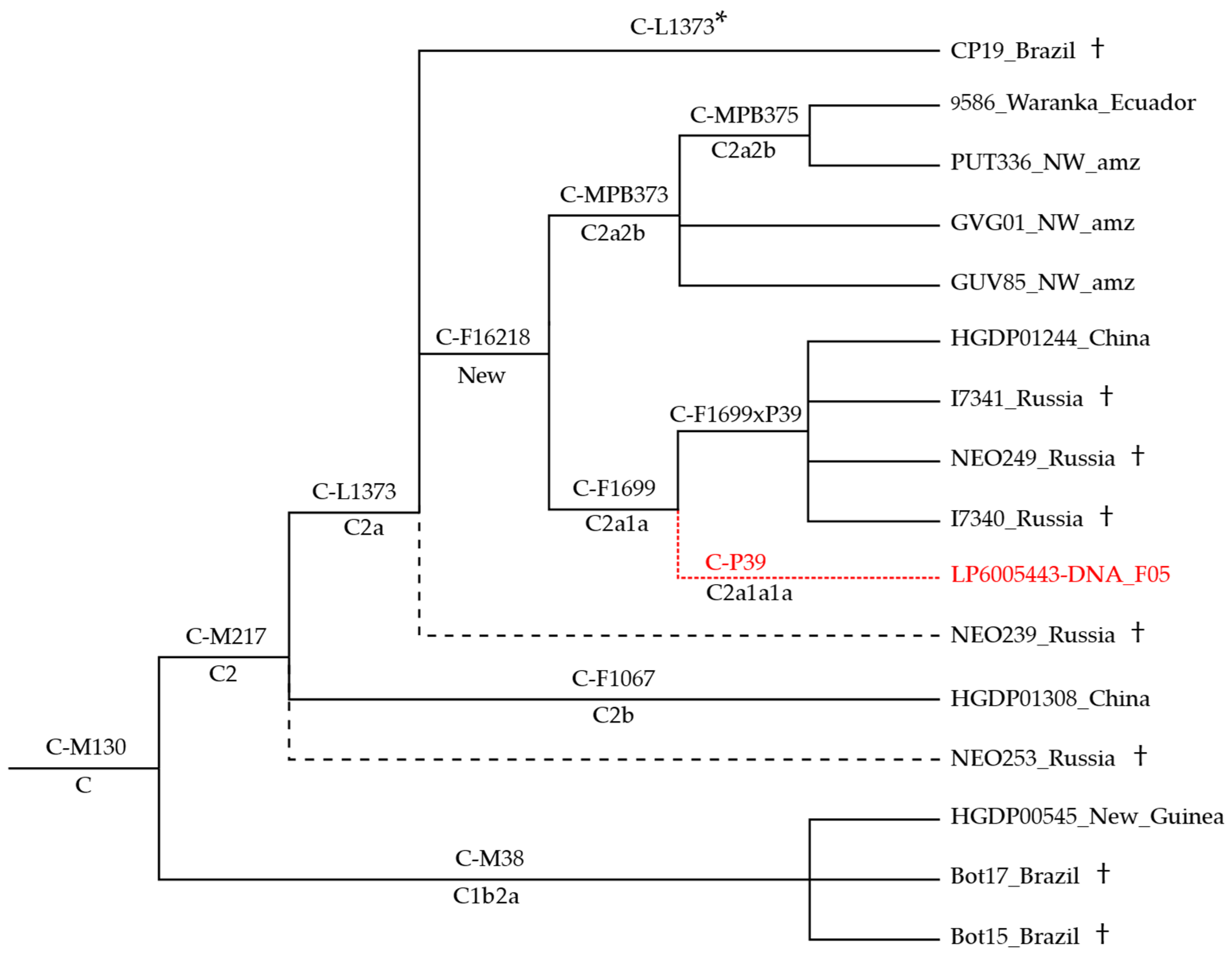 Genes 13 00220 g002 Genes 13 00220 g002