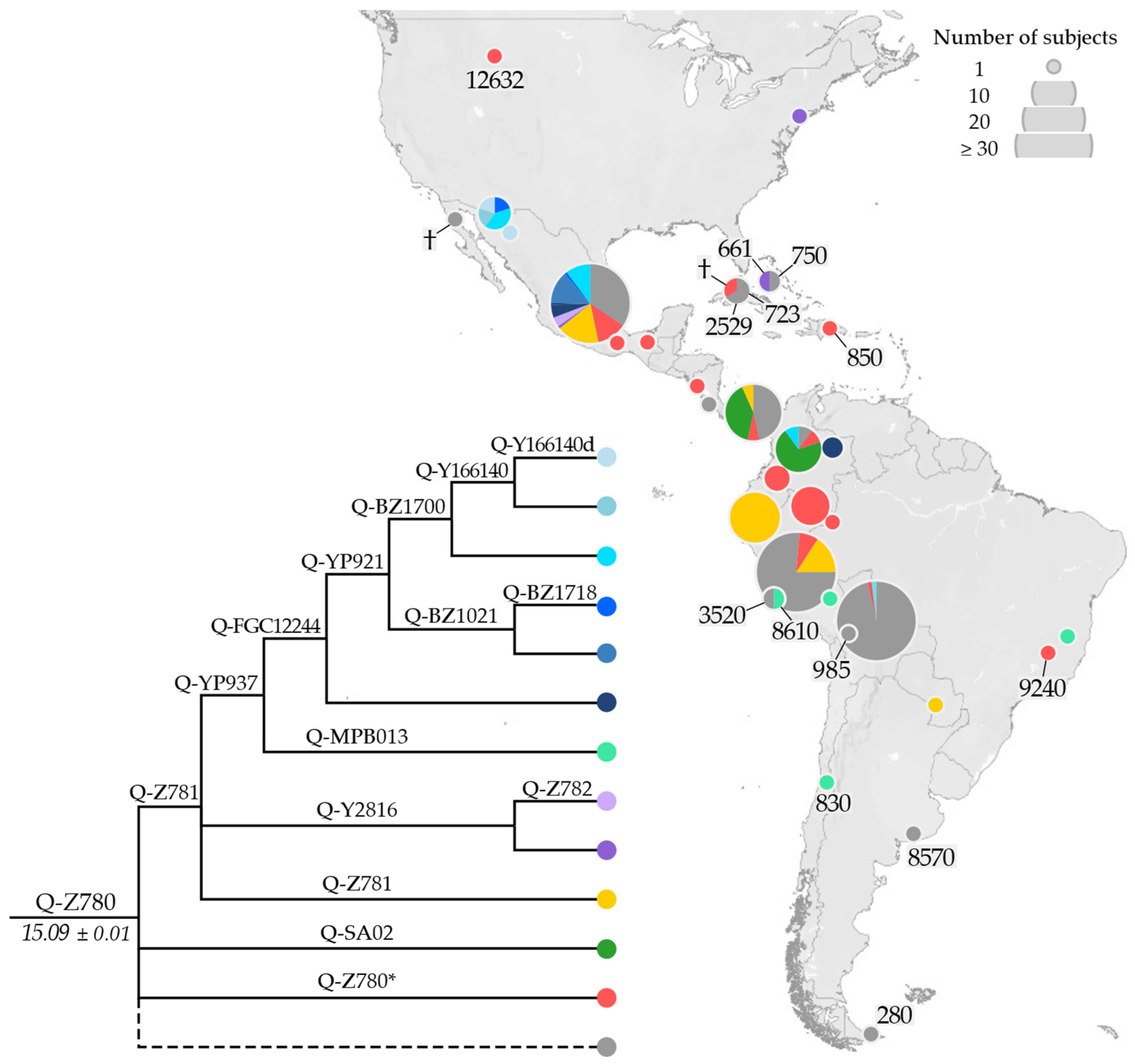 Overview of the Americas' First Peopling from a Patrilineal