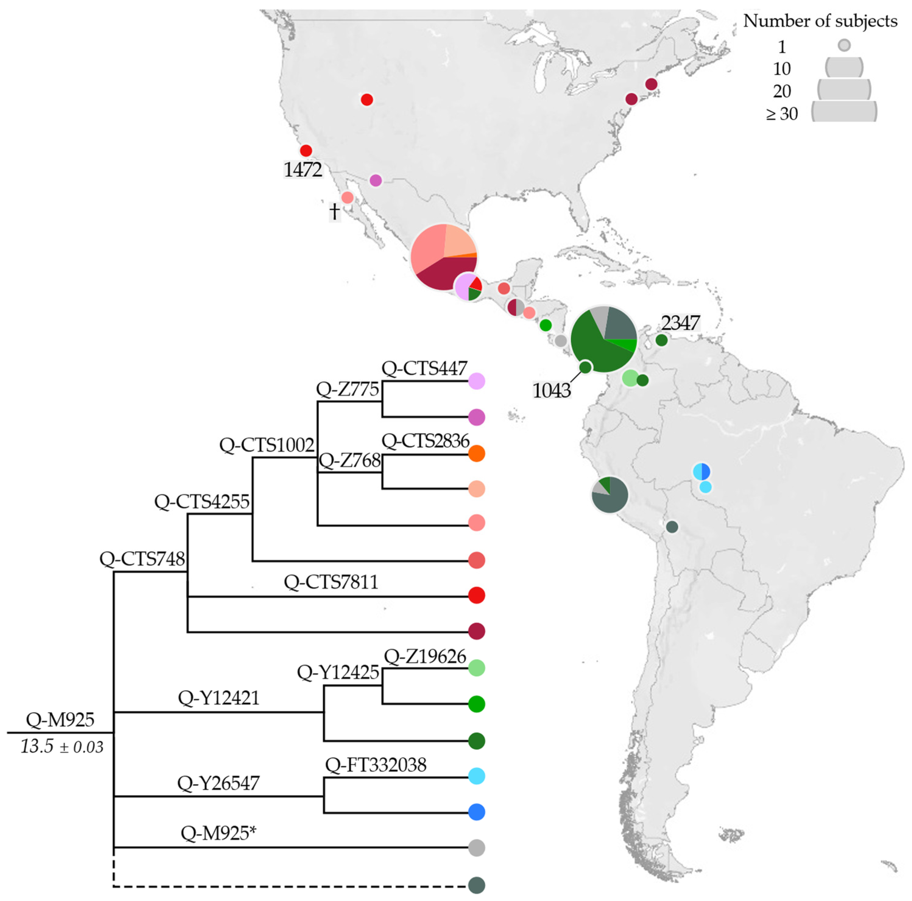 Genes 13 00220 g005 Genes 13 00220 g005