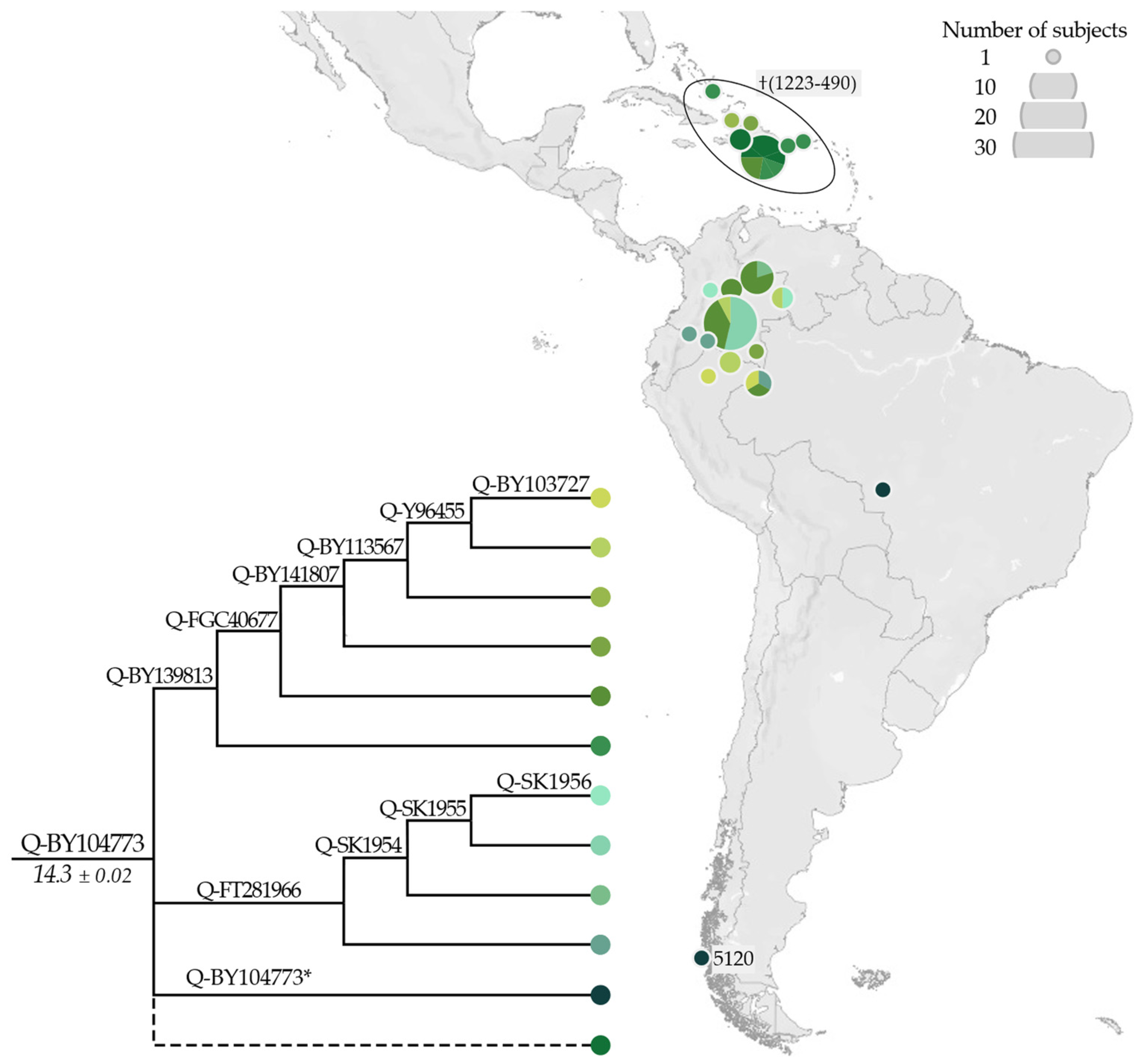 Genes 13 00220 g006 Genes 13 00220 g006