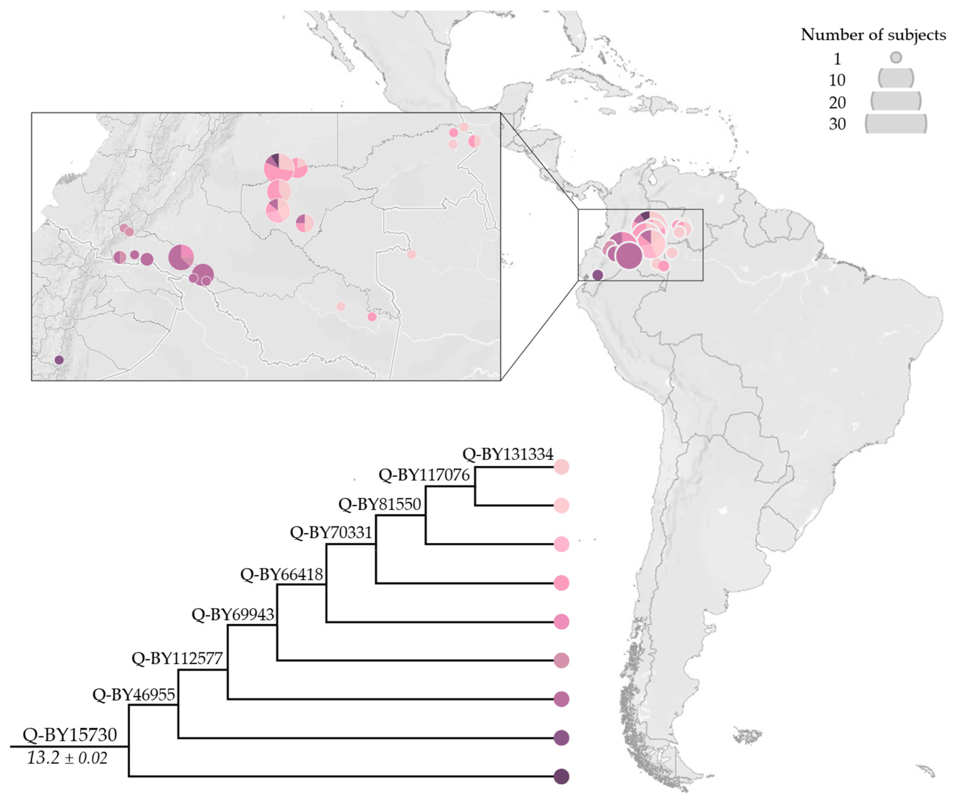 Genes 13 00220 g007 Genes 13 00220 g007