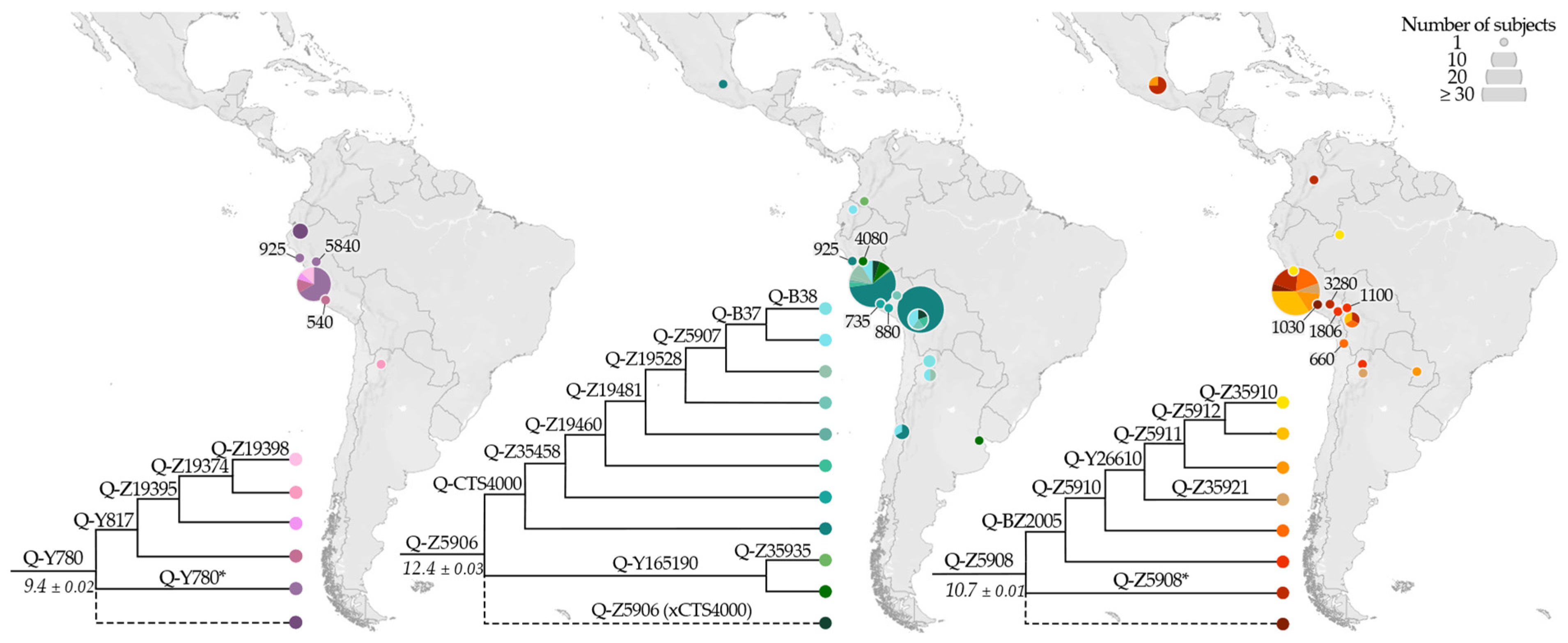 Genes 13 00220 g008 Genes 13 00220 g008