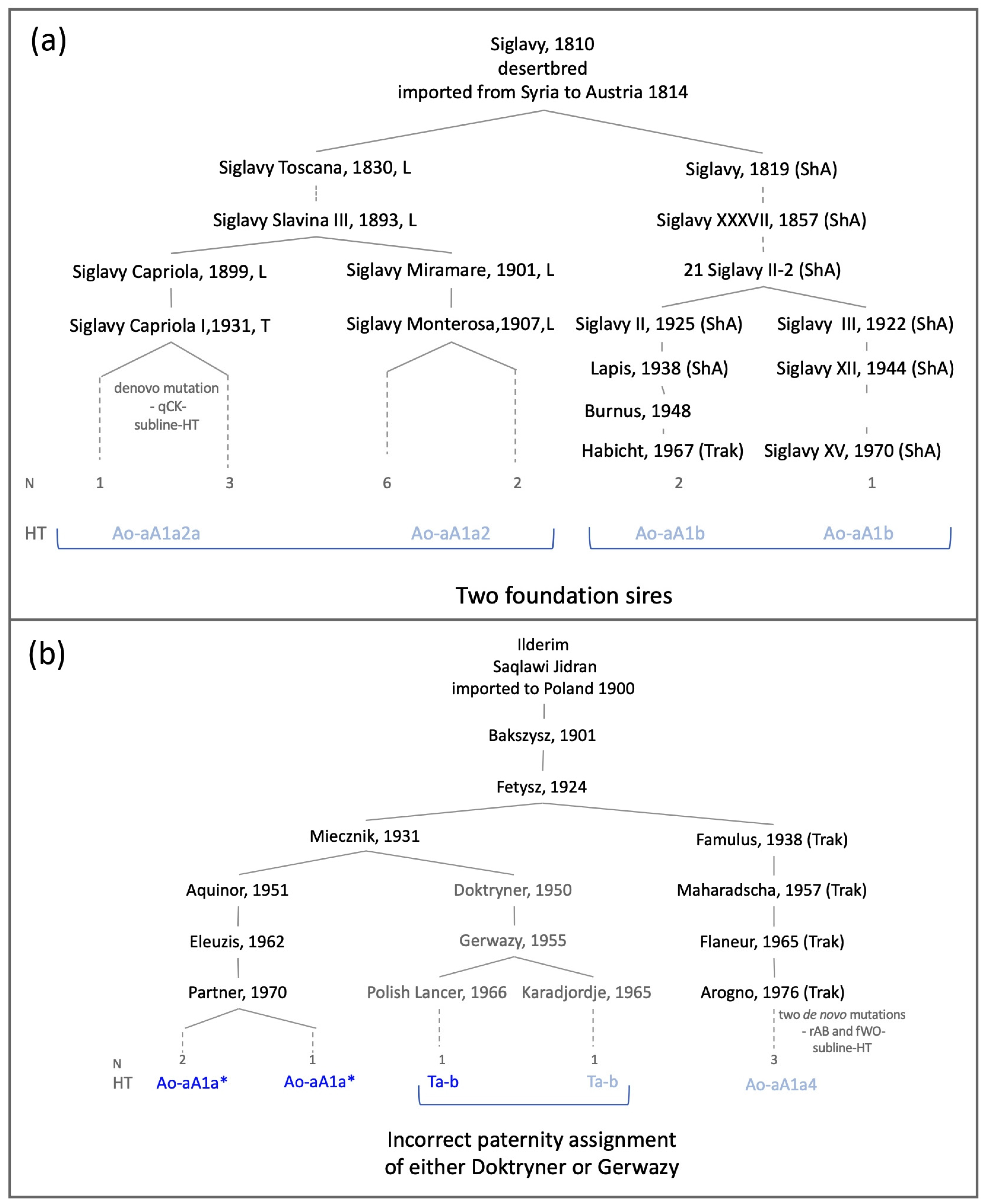 Genes 13 00229 g003 Genes 13 00229 g003