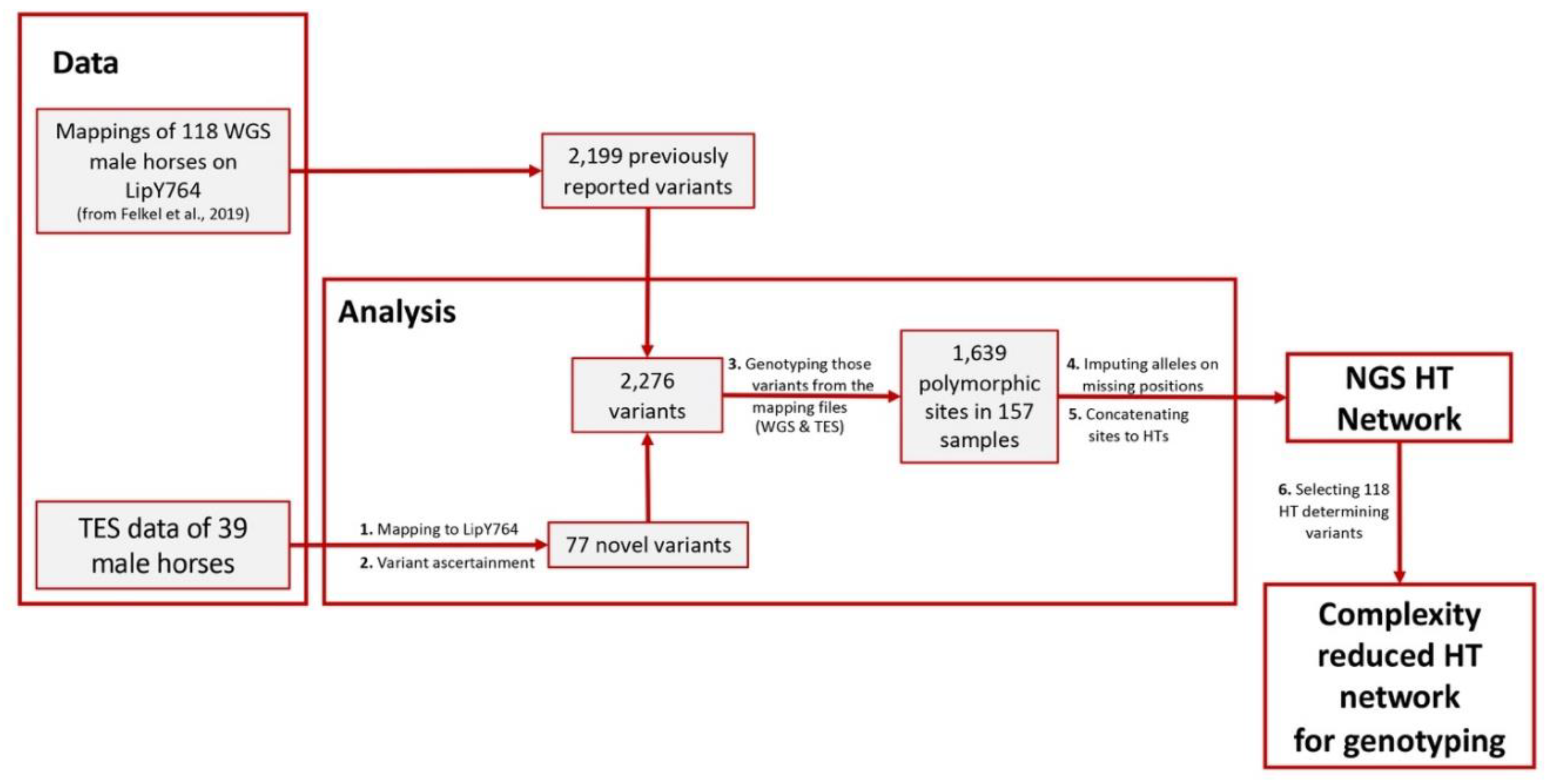 Genes 13 00229 g0a2 Genes 13 00229 g0a2