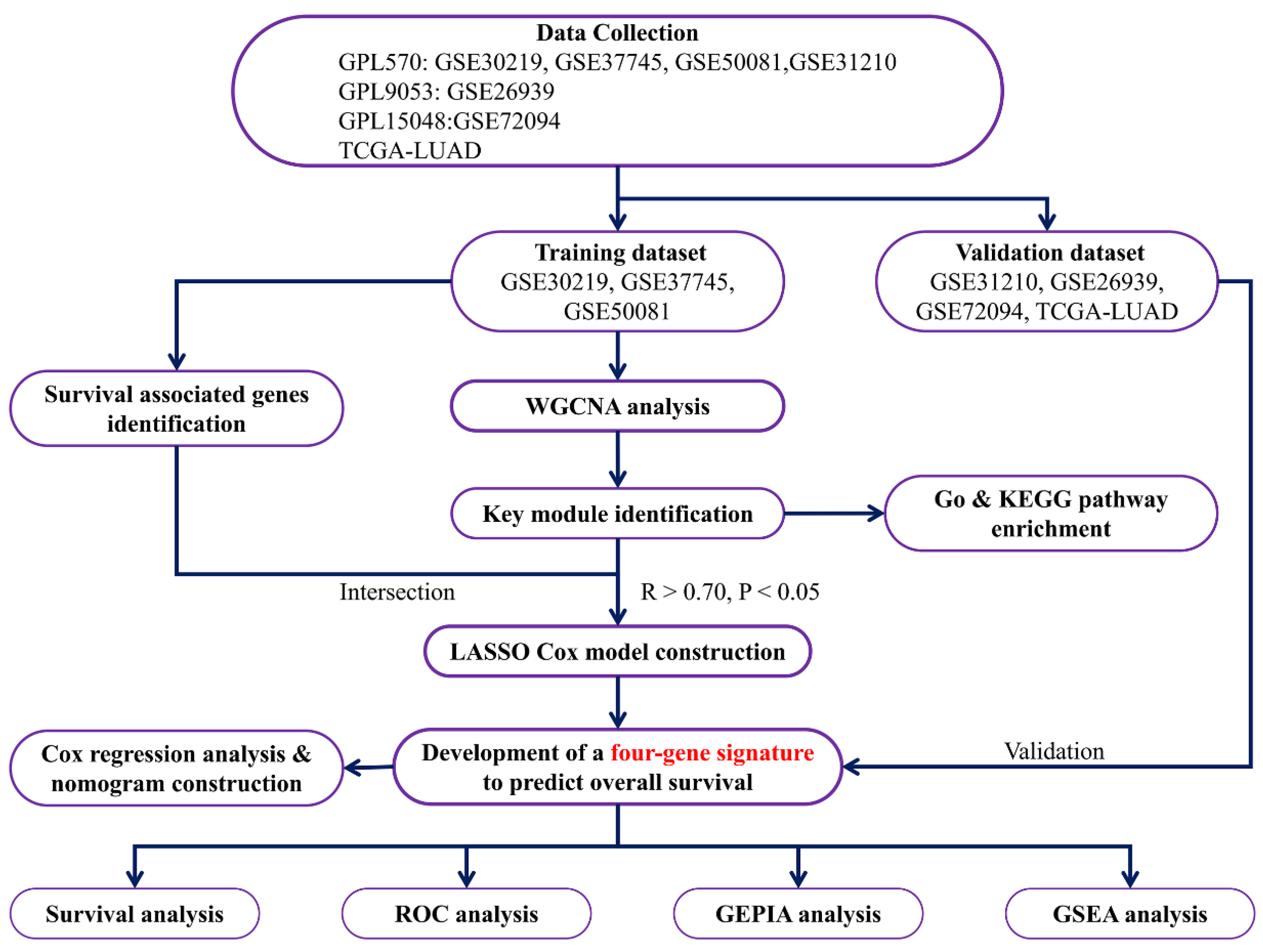 Genes 13 00238 g001 550