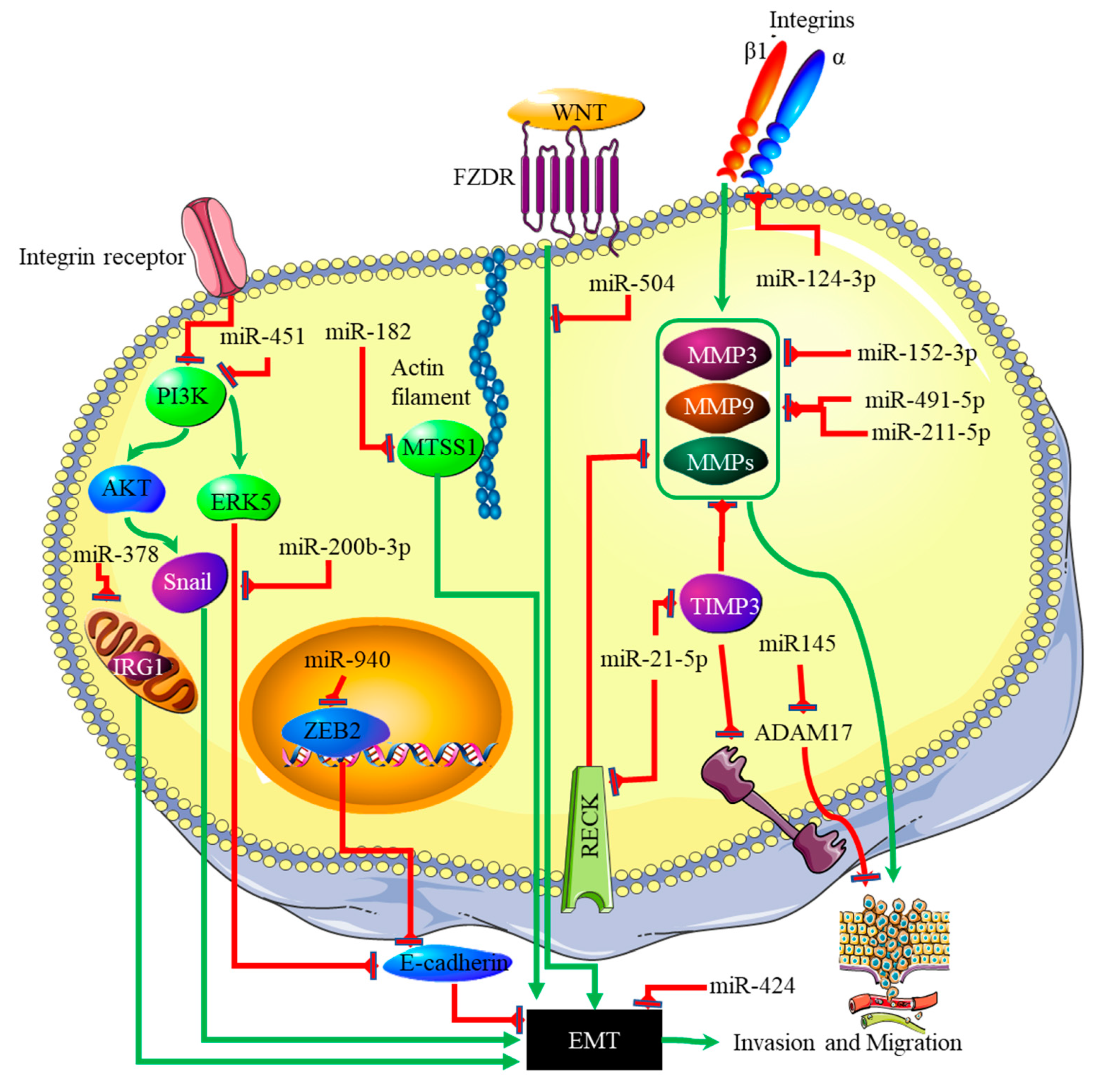 Genes 13 00244 g004 550