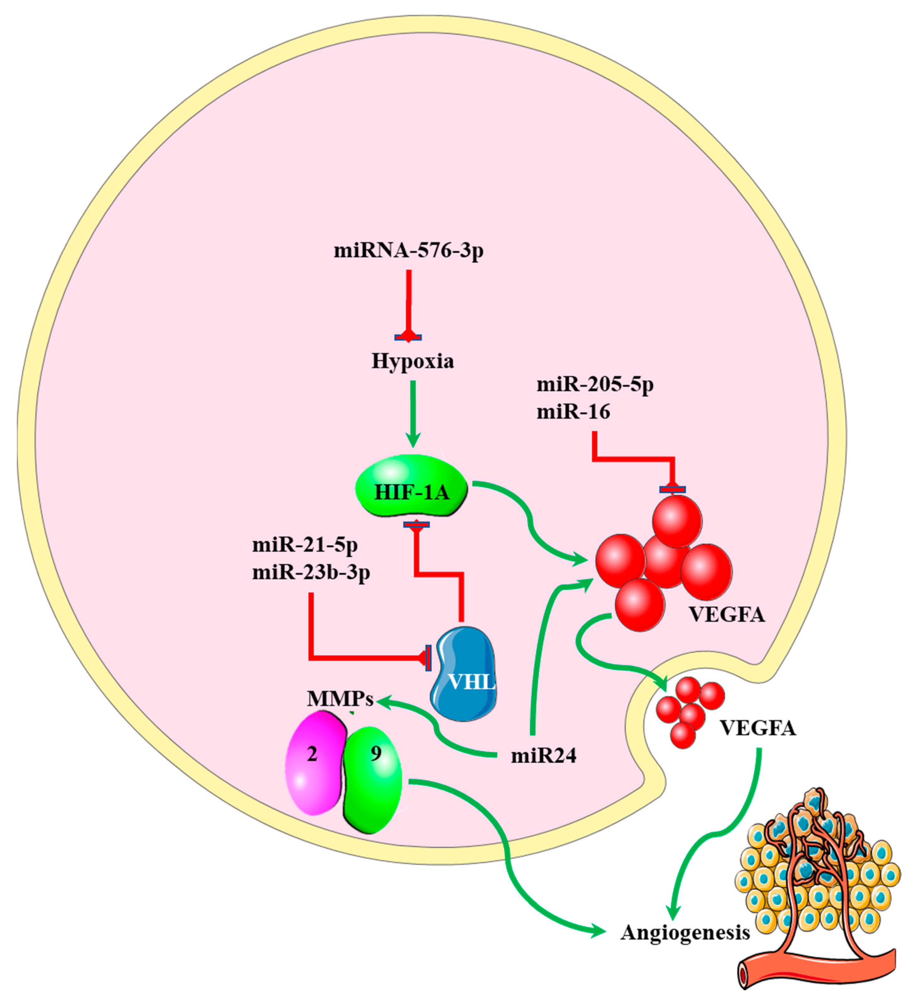 Genes 13 00244 g005 550