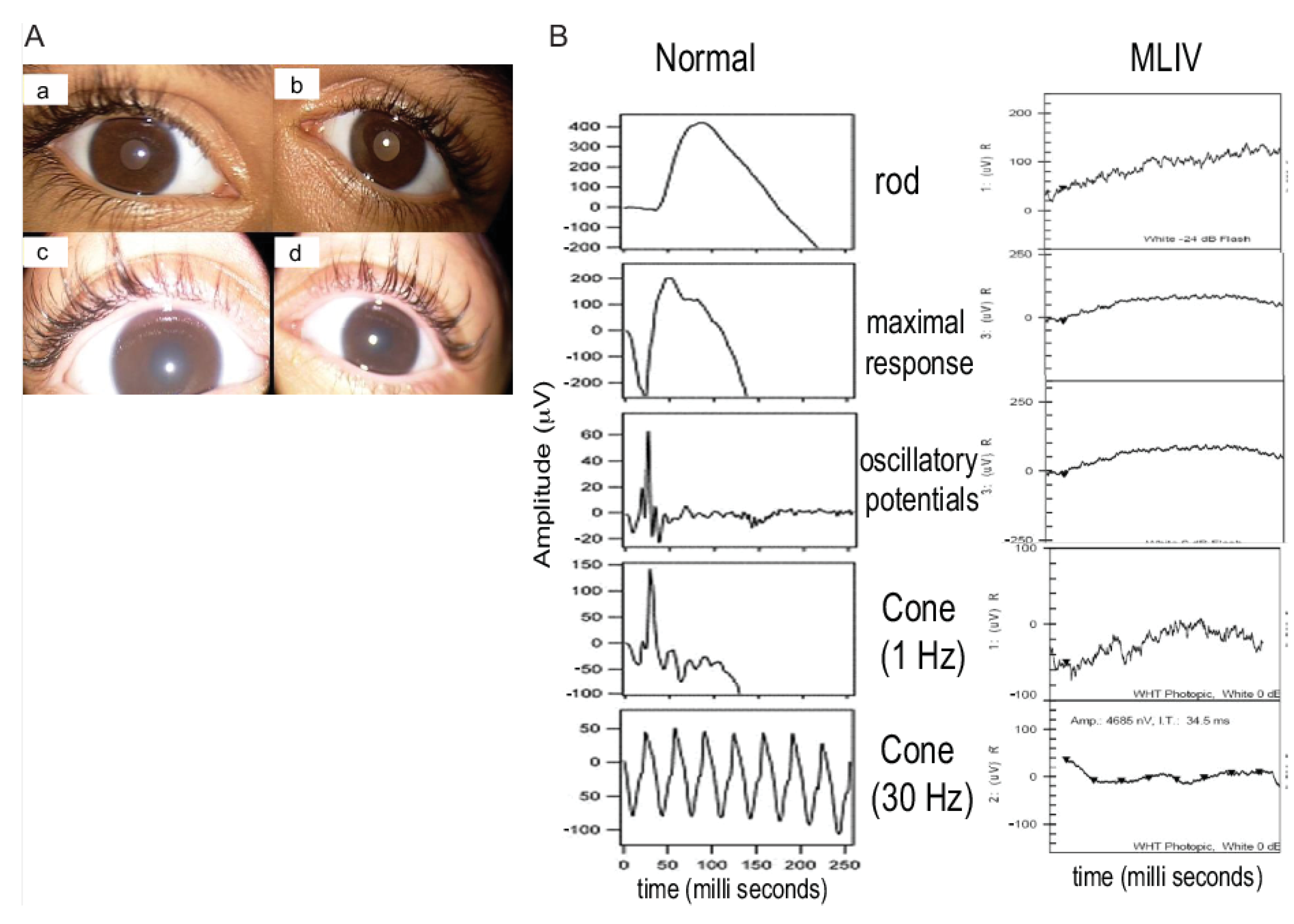 Genes 13 00248 g002 550