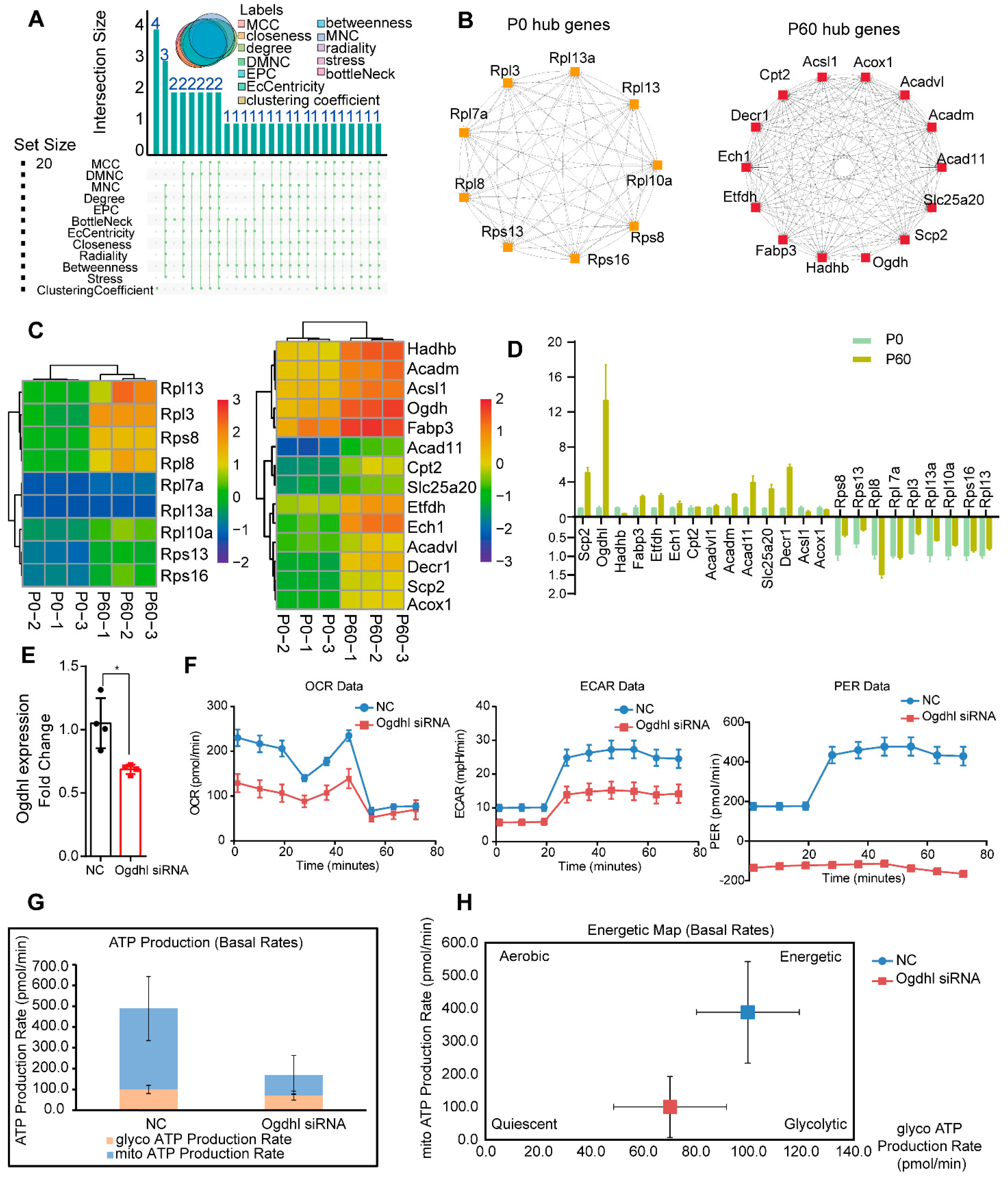 Genes 13 00250 g005 550