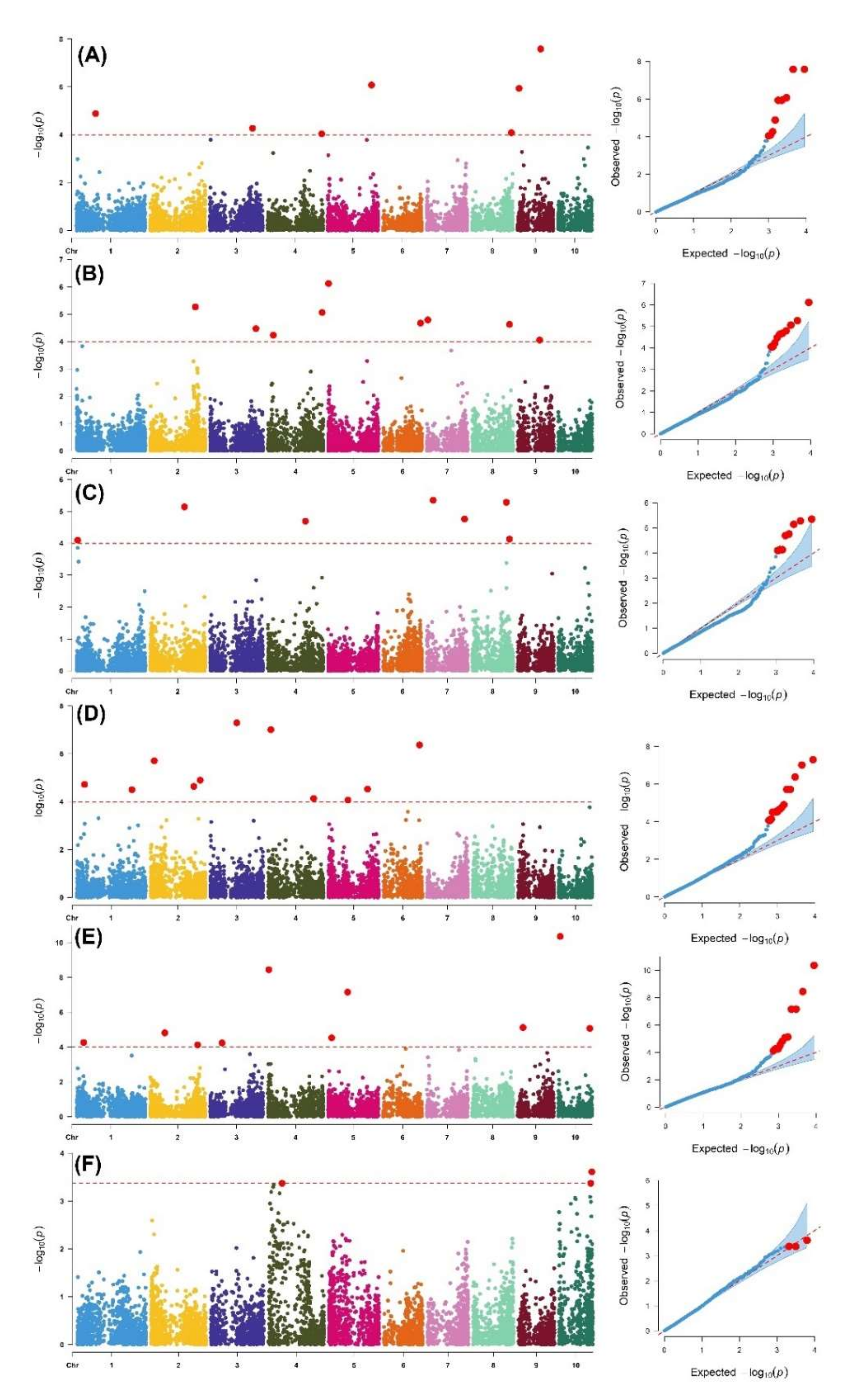 Genes 13 00251 g004 550