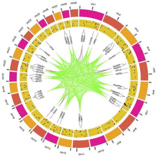 Genomic Diversity Profiling and Breed-Specific Evolutionary