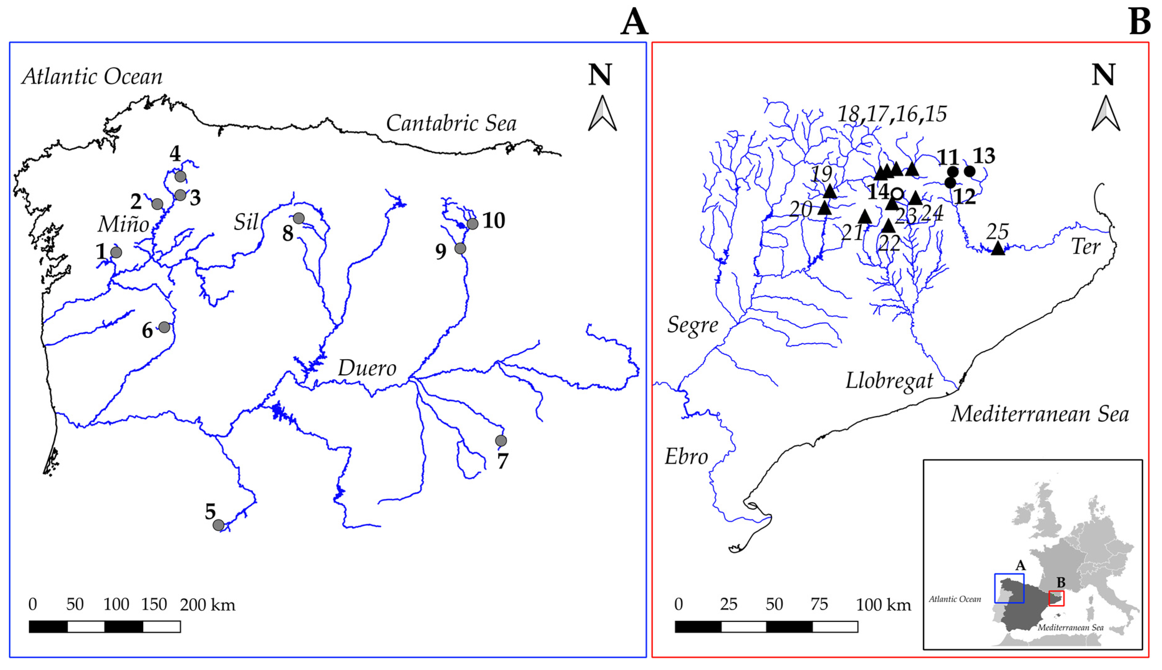 Genes 13 00255 g001 Genes 13 00255 g001