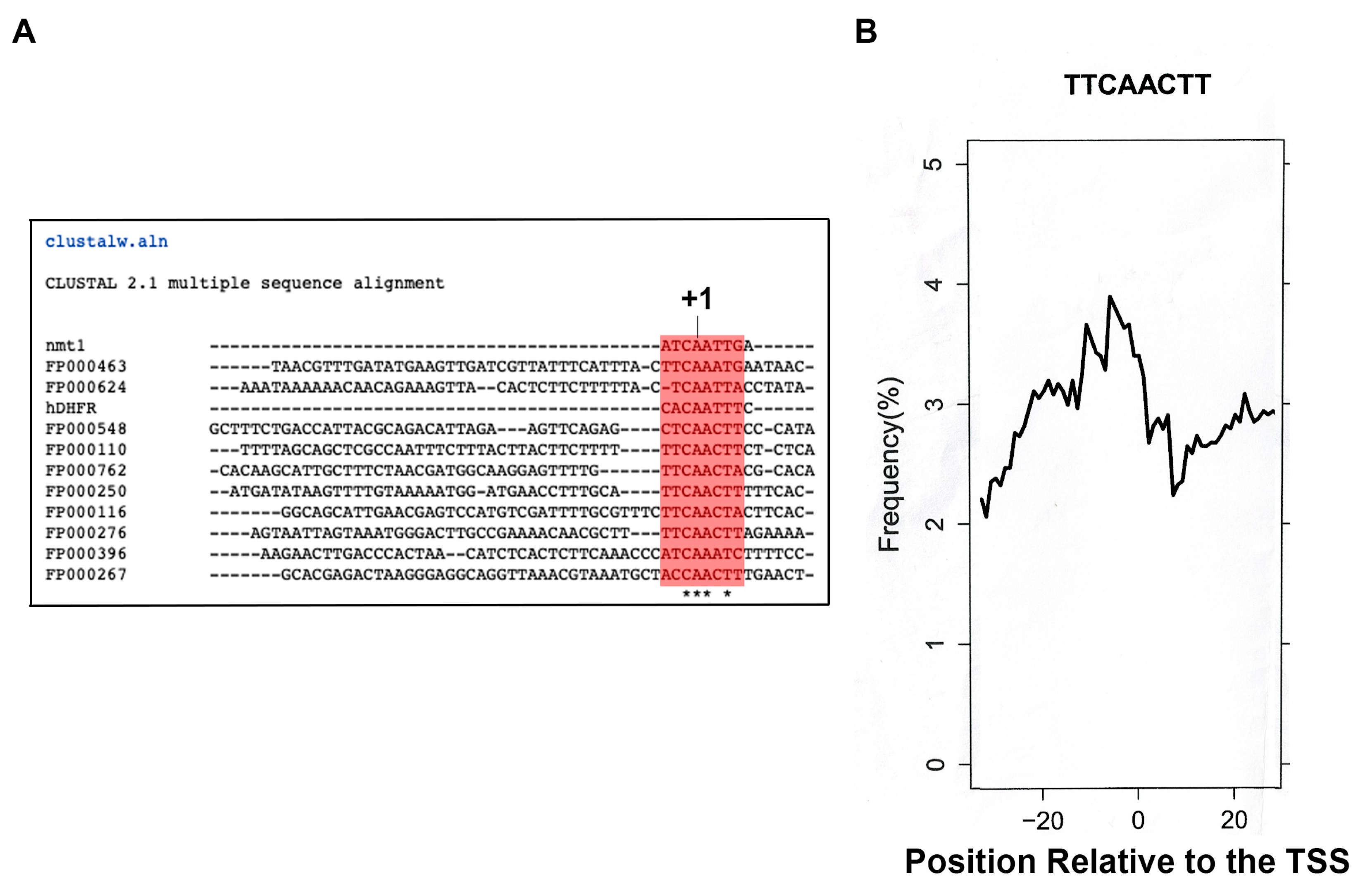 Genes 13 00256 g001