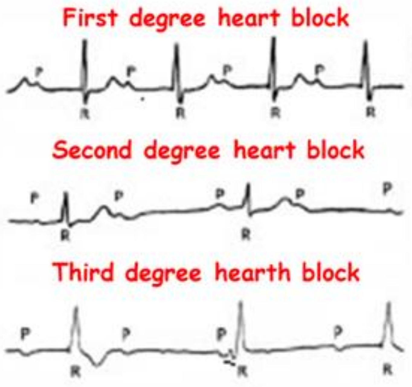 Genes 13 00258 g001 Genes 13 00258 g001