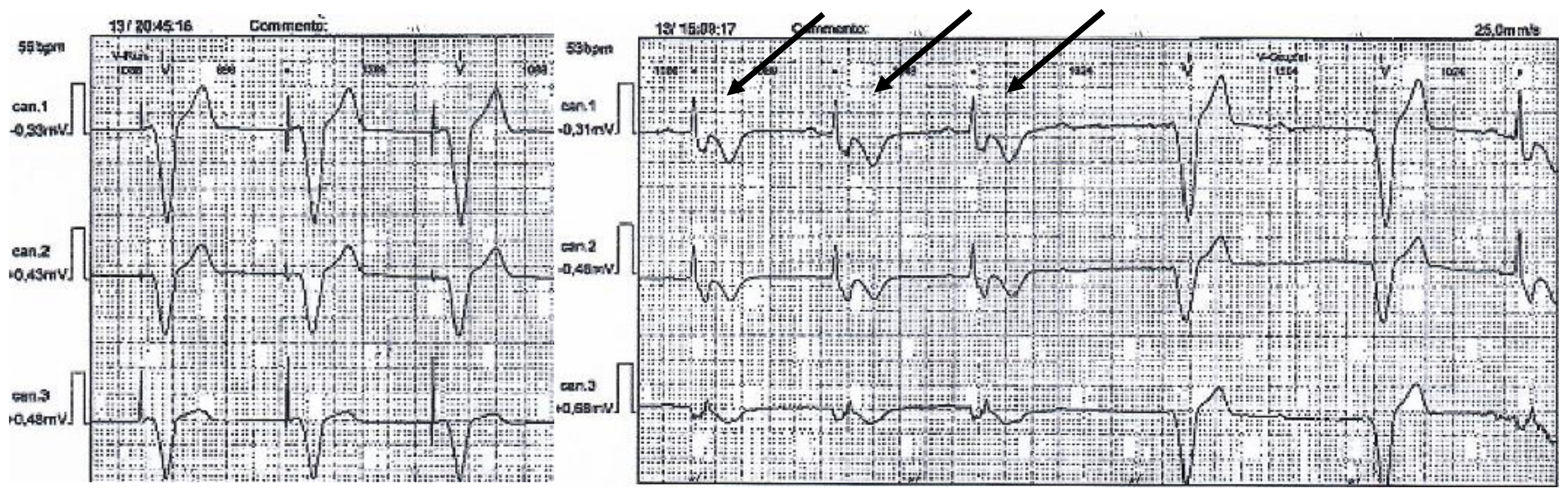 Genes 13 00258 g004 Genes 13 00258 g004