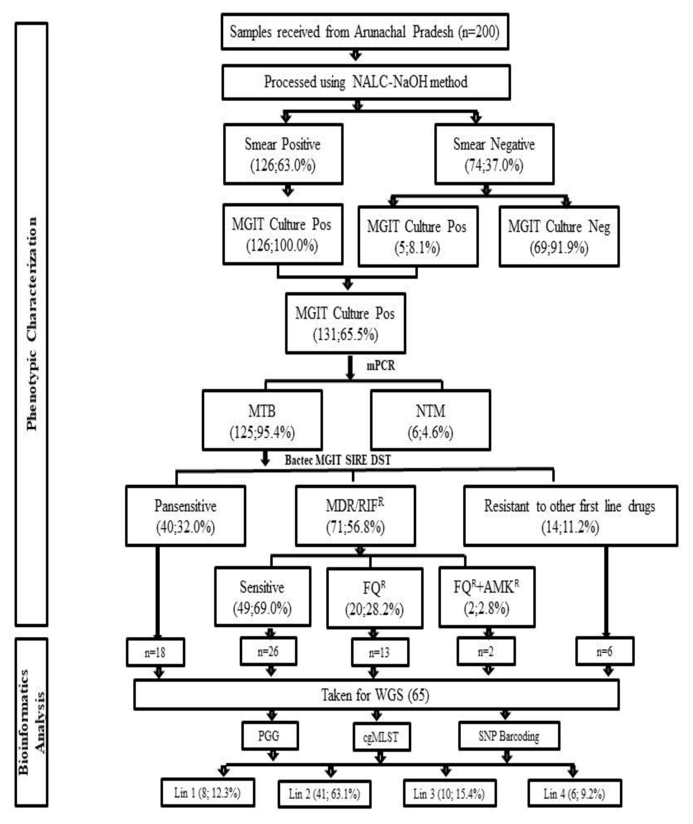 Genes 13 00263 g001 Genes 13 00263 g001