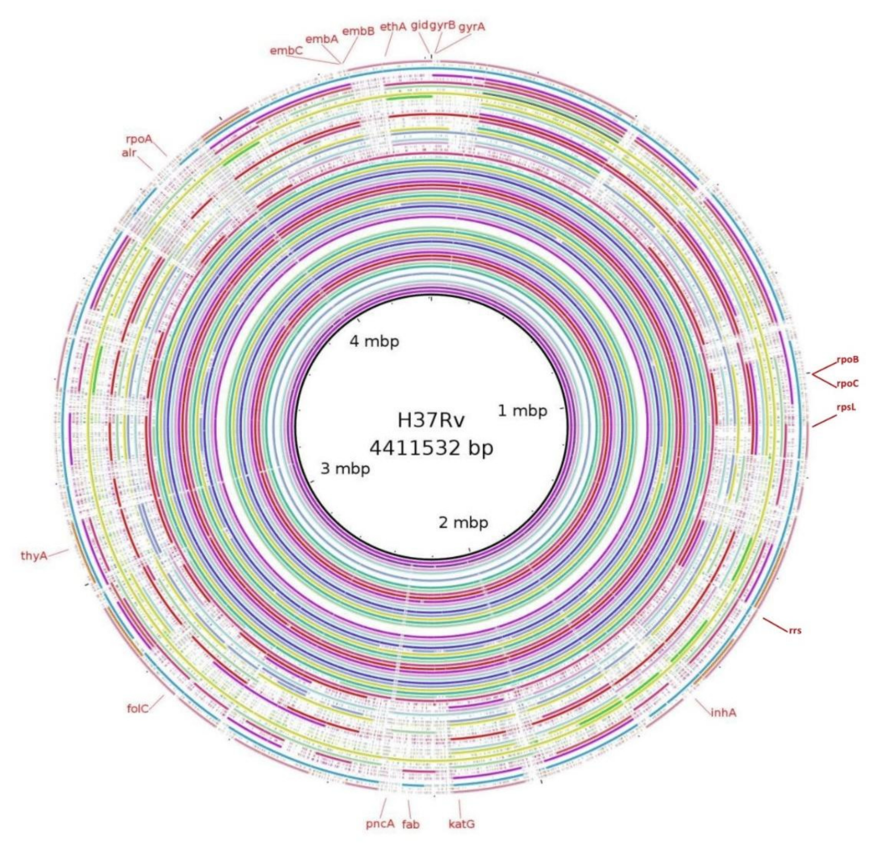 Genes 13 00263 g002 Genes 13 00263 g002