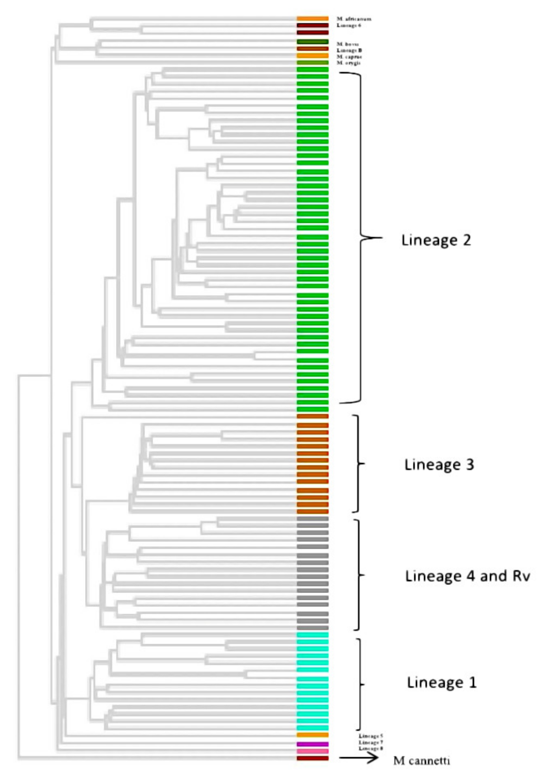 Genes 13 00263 g003 Genes 13 00263 g003