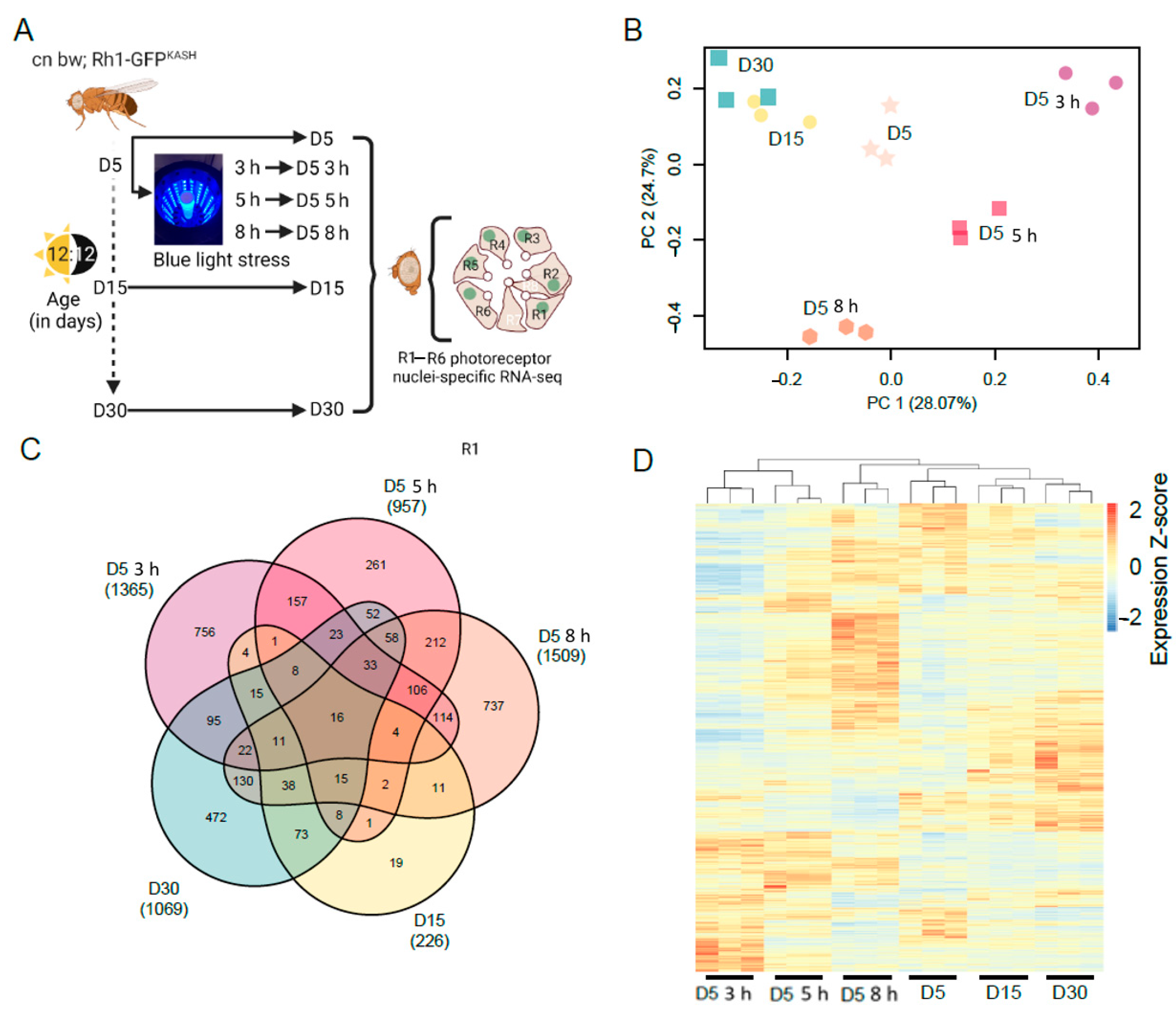 Genes 13 00264 g001 Genes 13 00264 g001