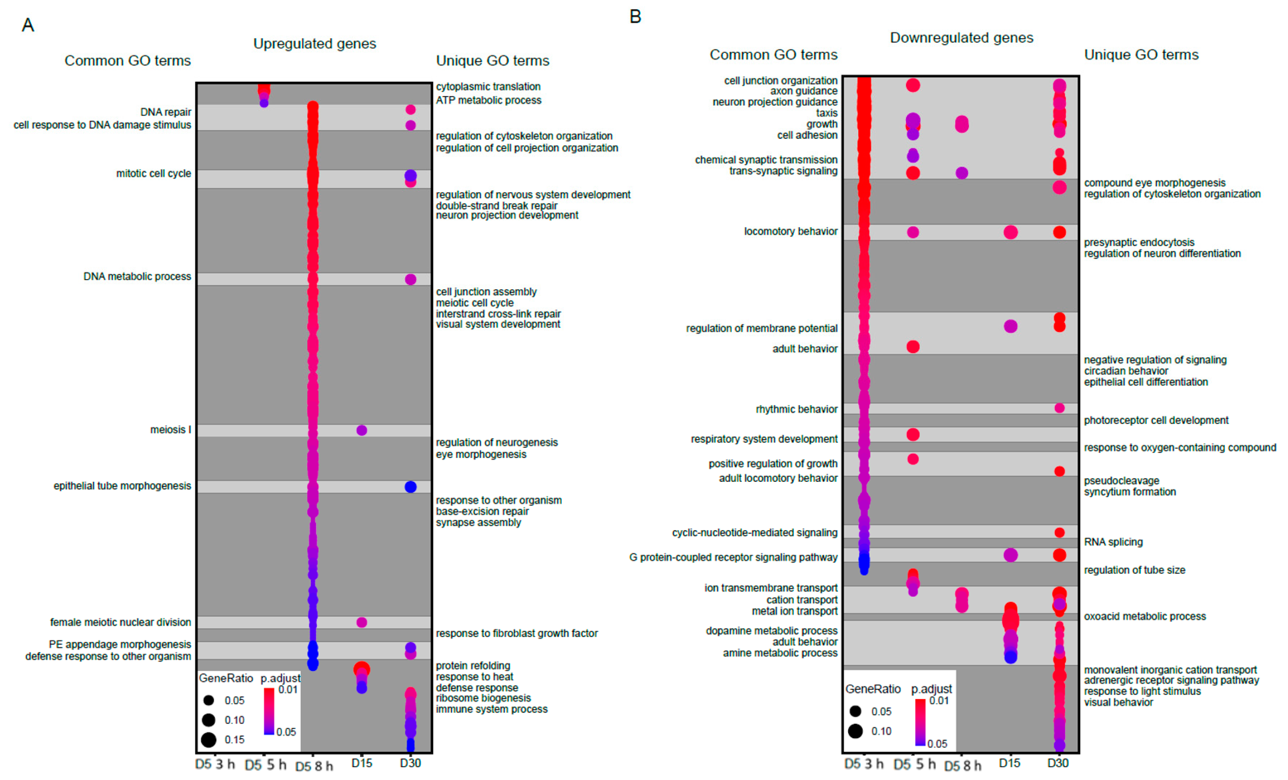 Genes 13 00264 g002 Genes 13 00264 g002