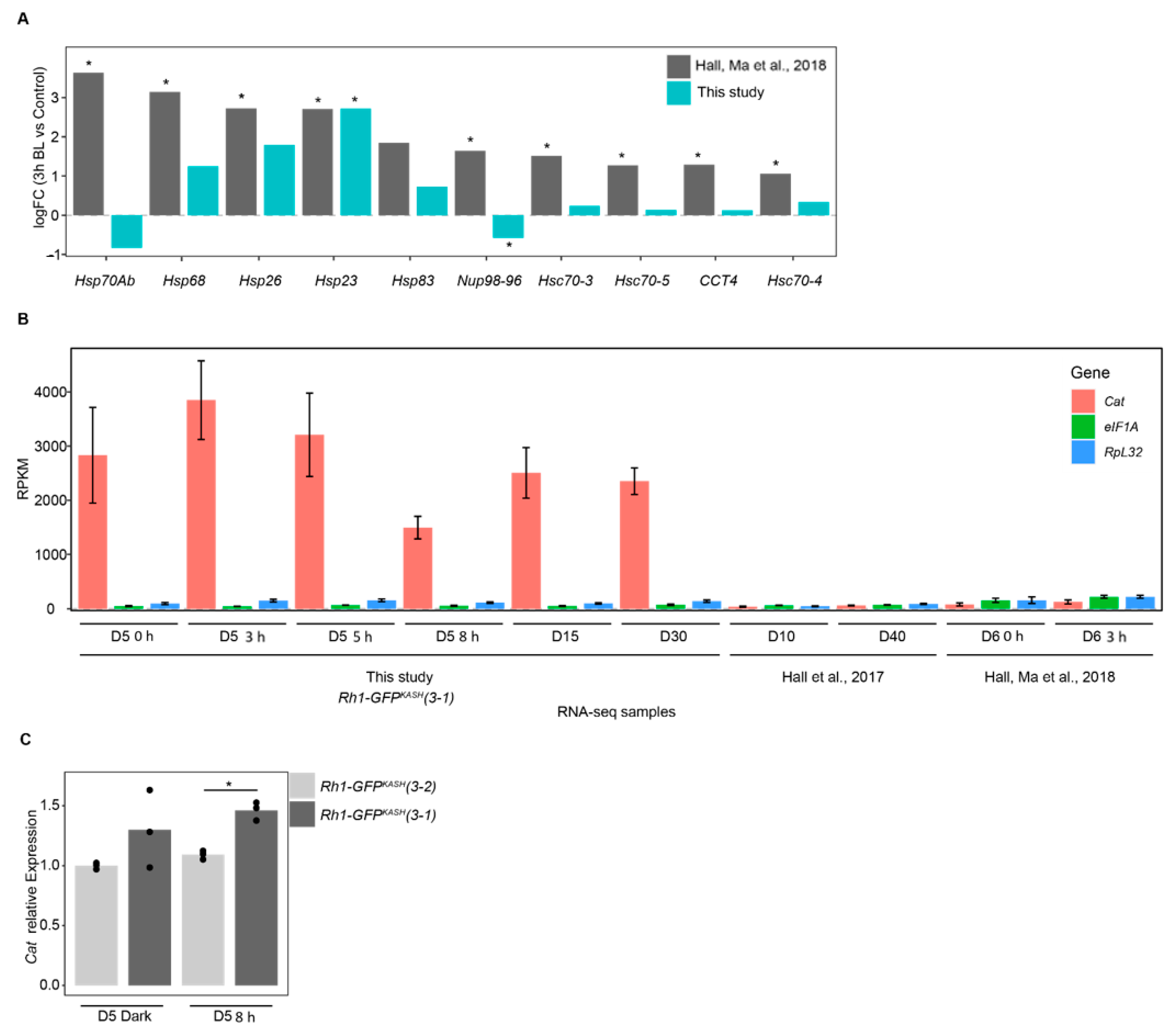 Genes 13 00264 g003 Genes 13 00264 g003
