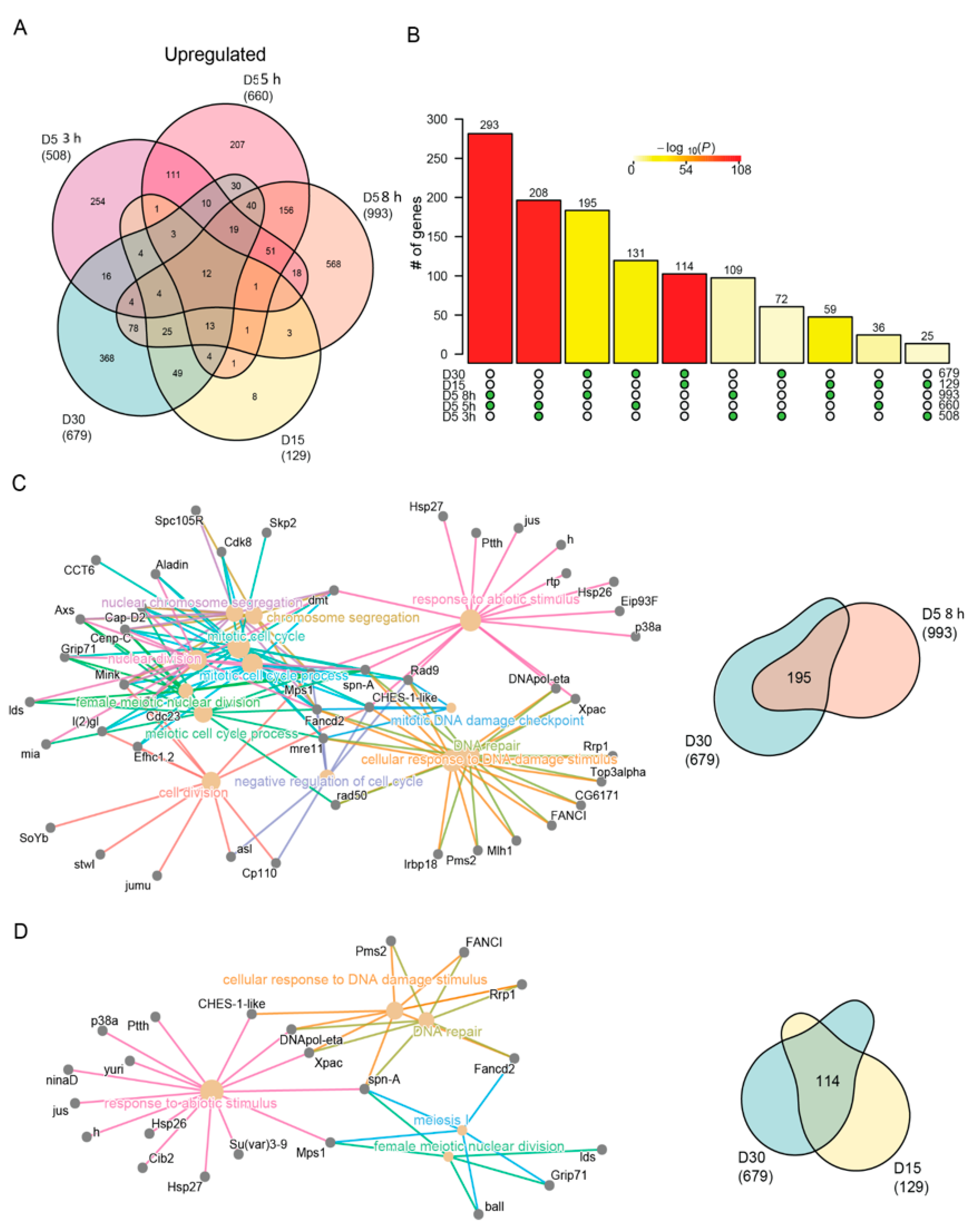 Genes 13 00264 g004 Genes 13 00264 g004