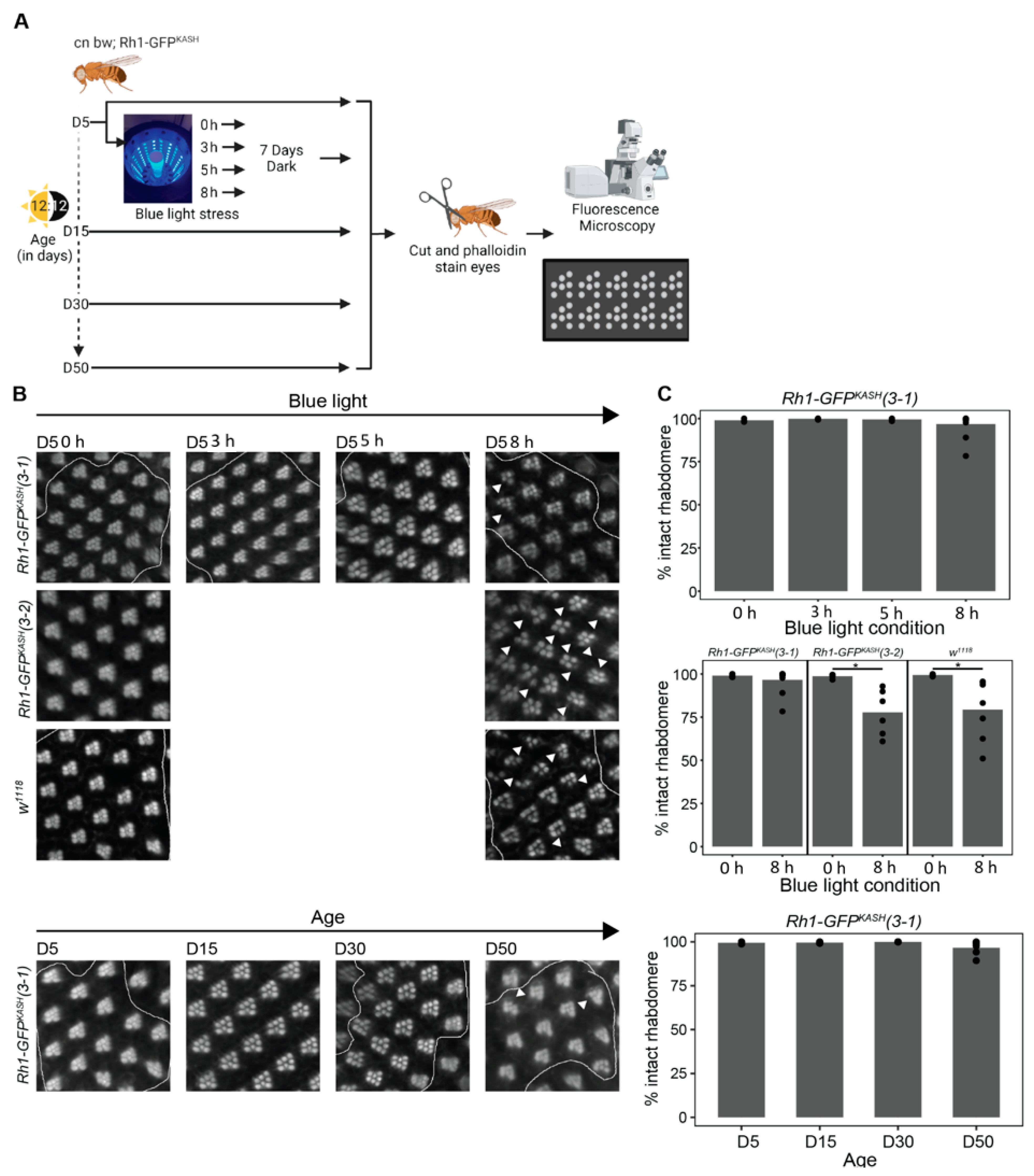 Genes 13 00264 g006 Genes 13 00264 g006