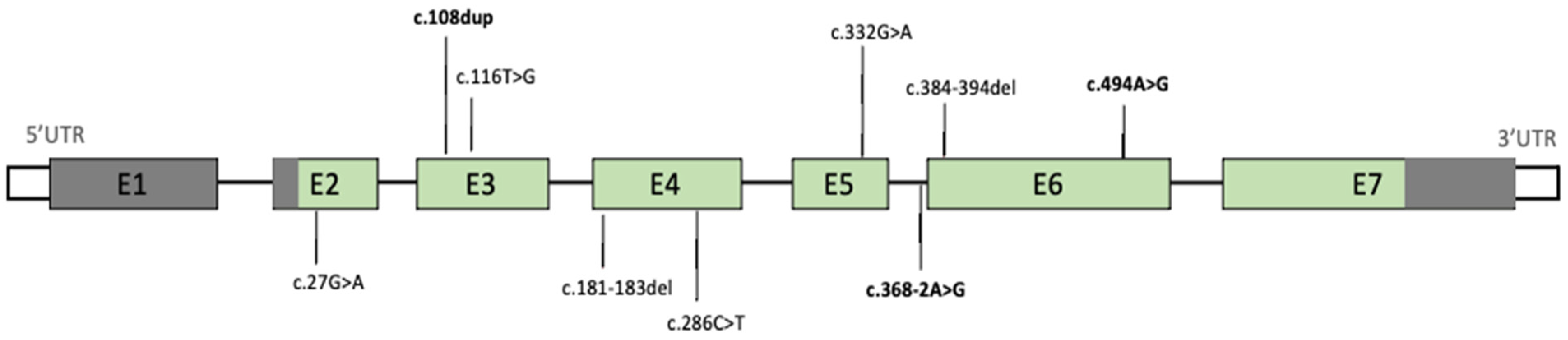 Genes 13 00276 g001 550