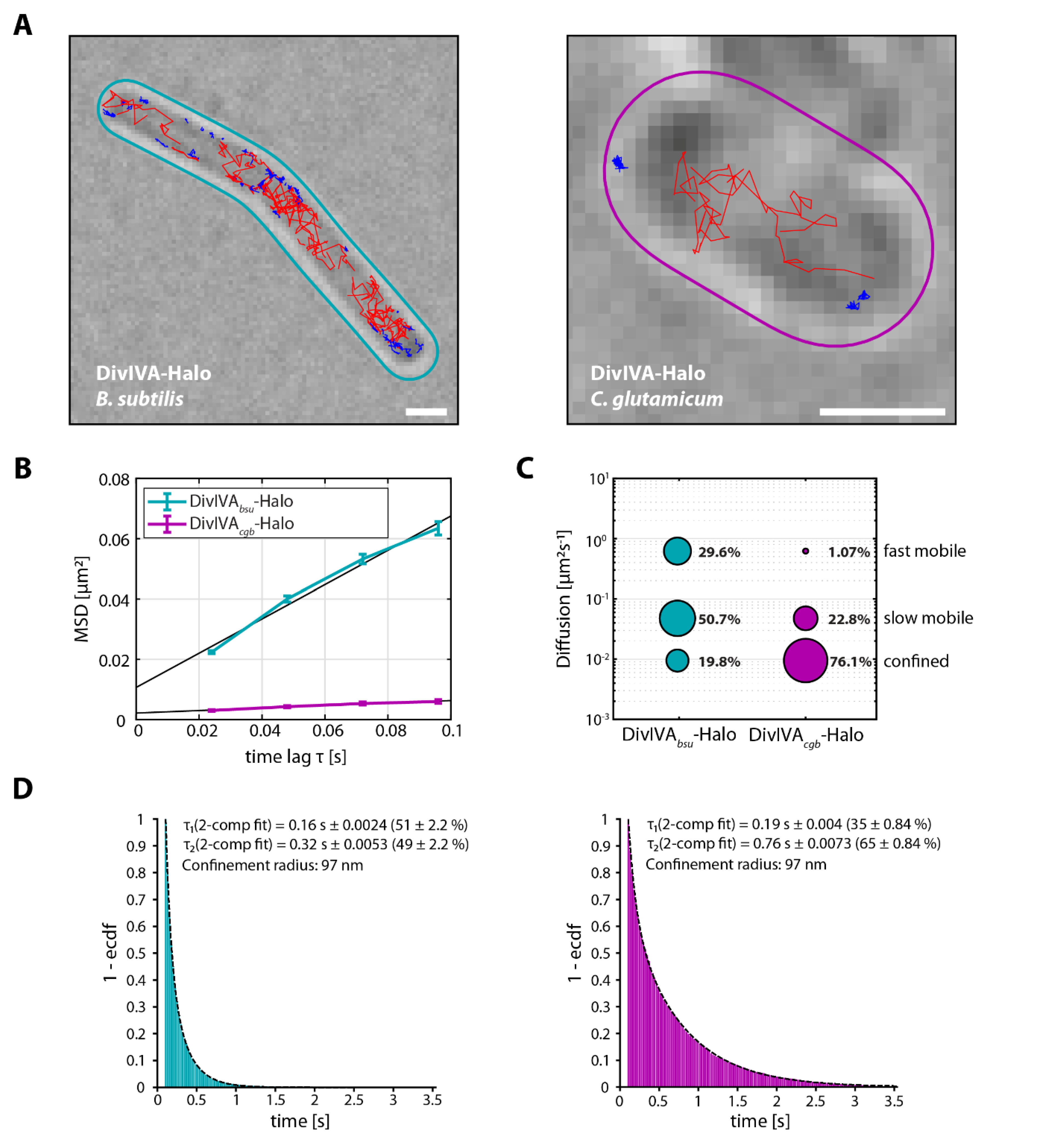 Genes 13 00278 g002a 550