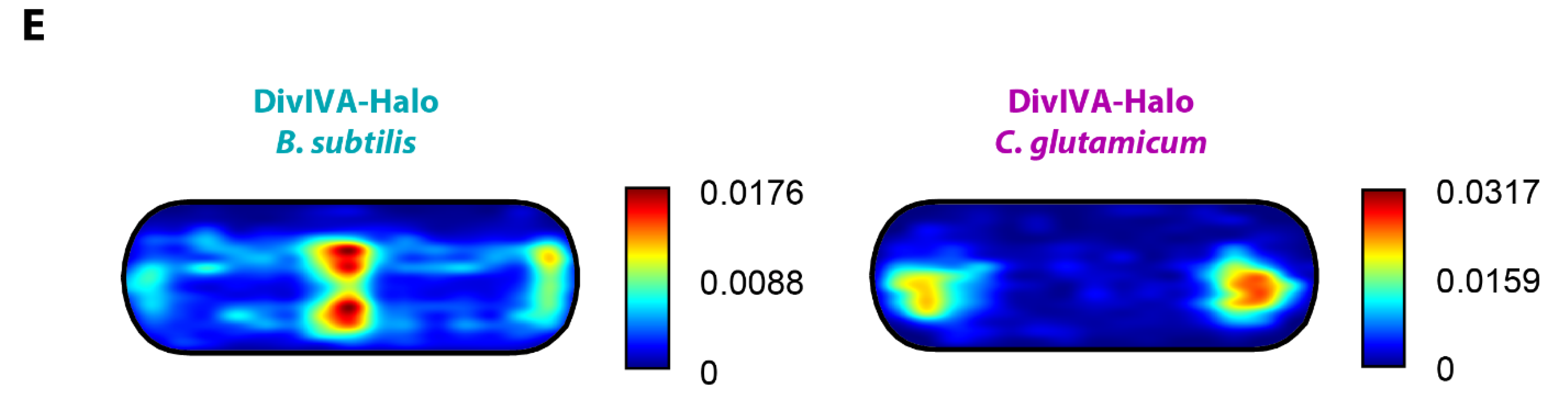 Genes 13 00278 g002b 550