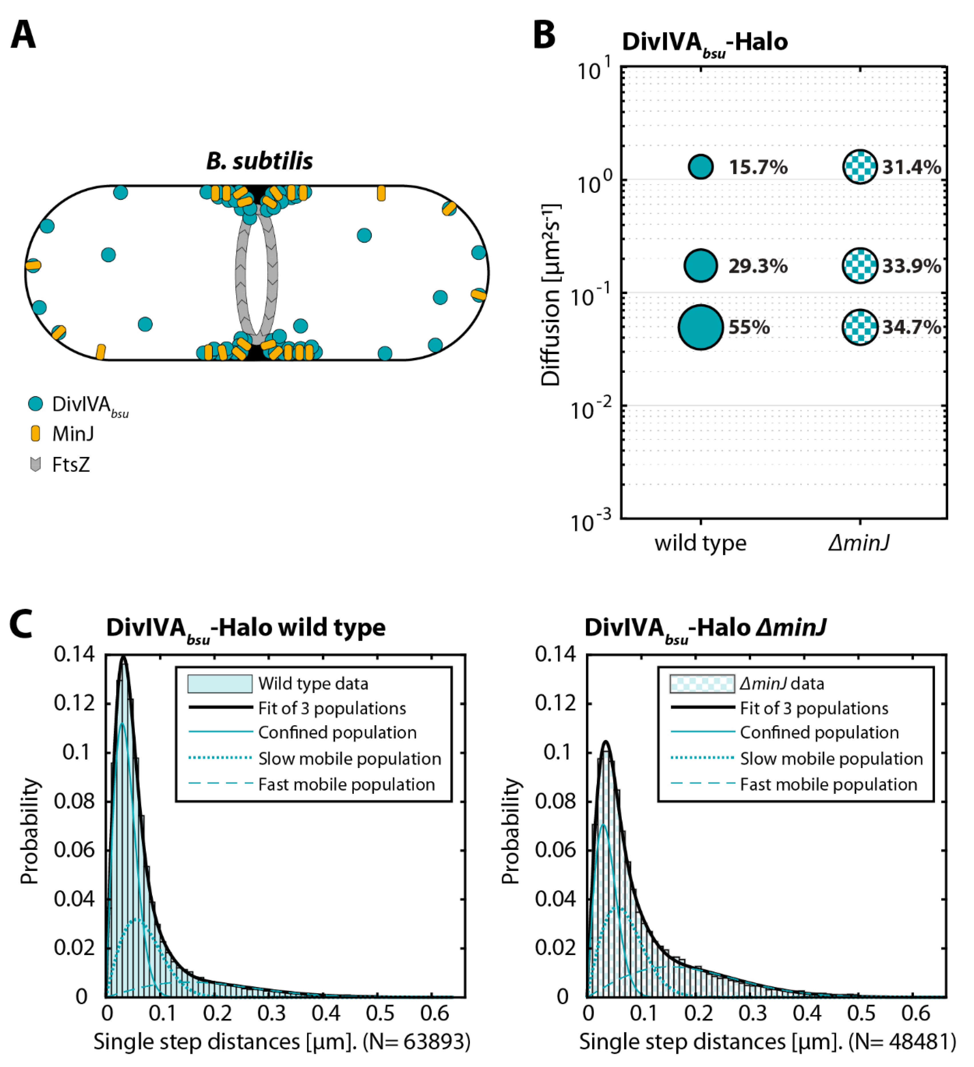 Genes 13 00278 g003 550