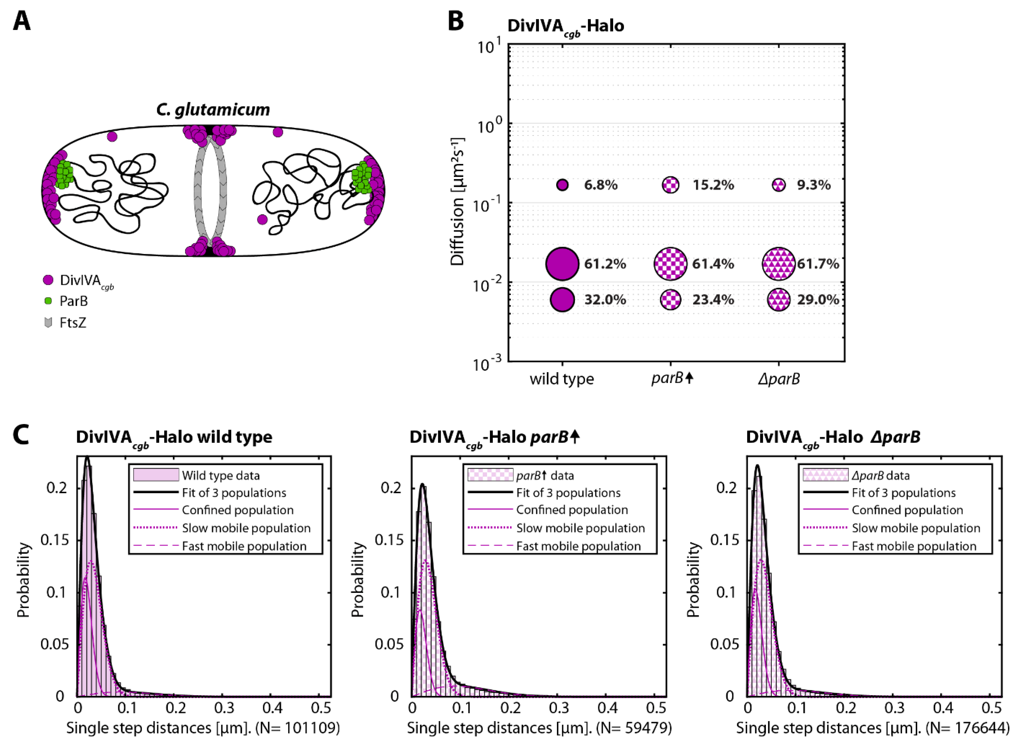 Genes 13 00278 g004 550