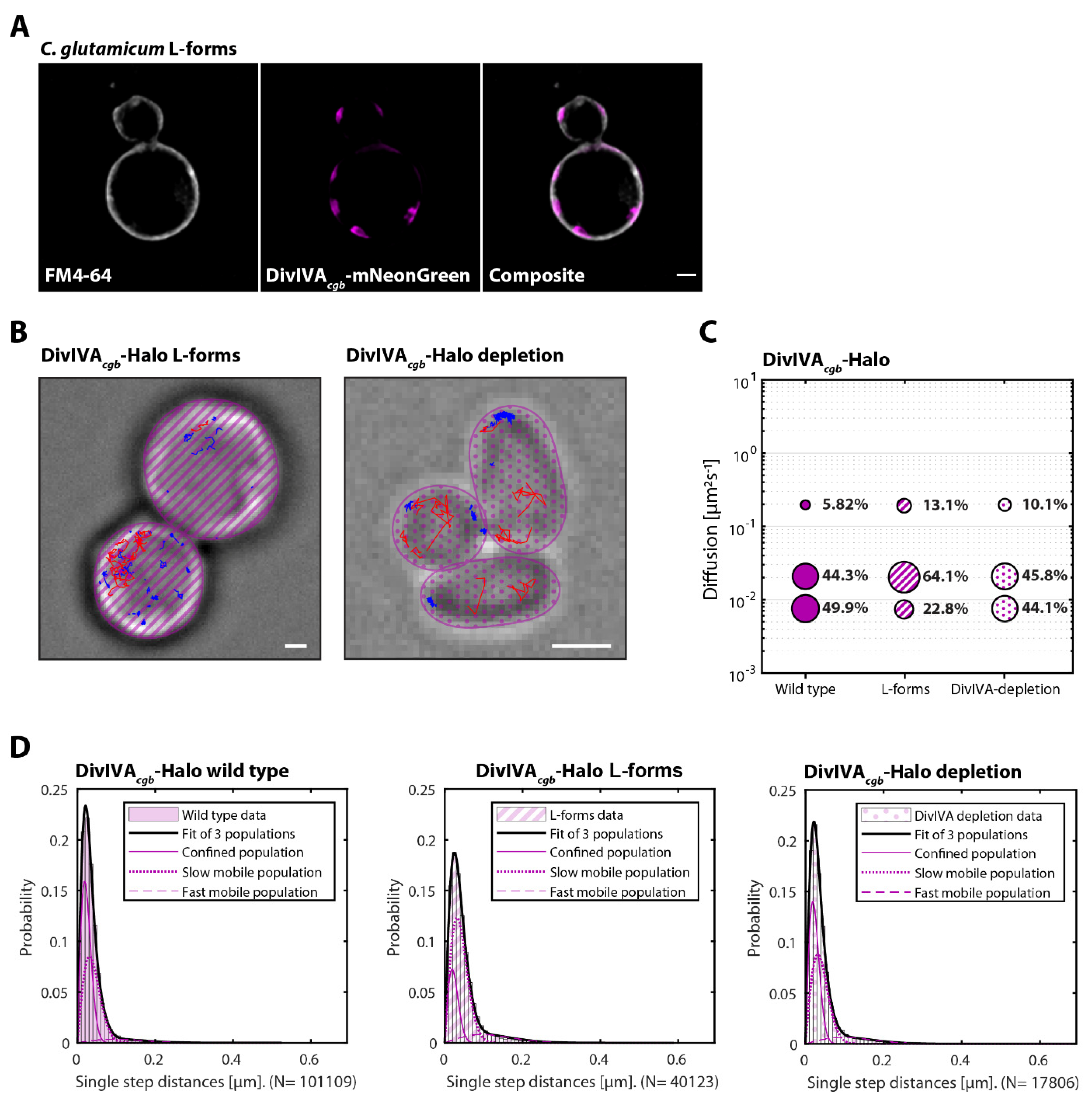 Genes 13 00278 g006 550