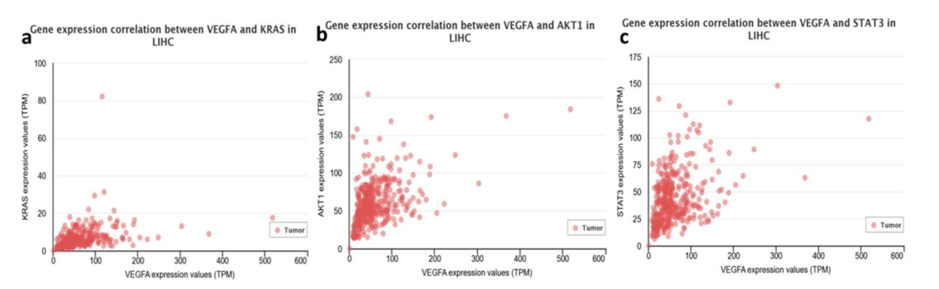 Genes 13 00282 g001 Genes 13 00282 g001