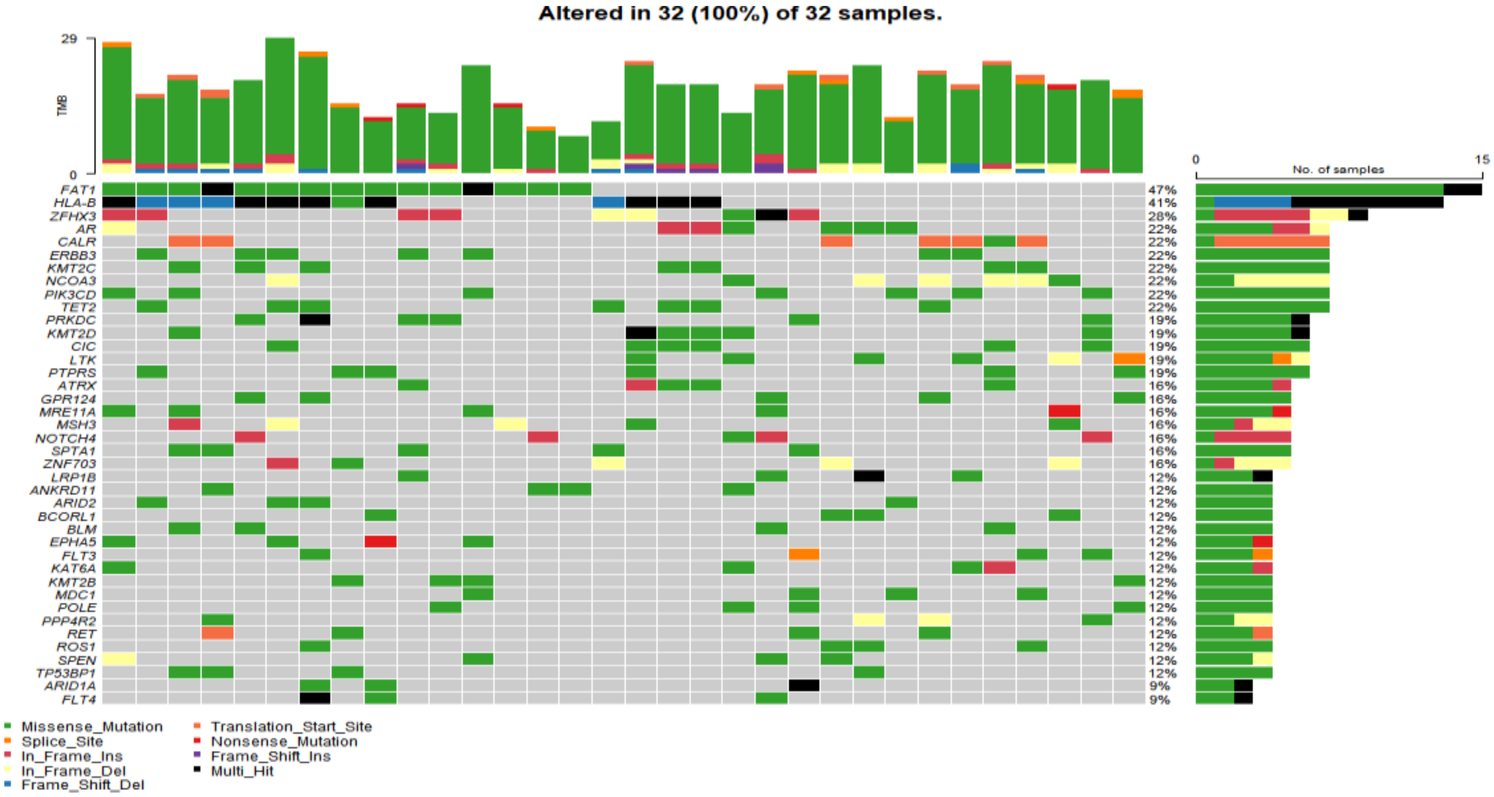 Genes 13 00287 g002 550