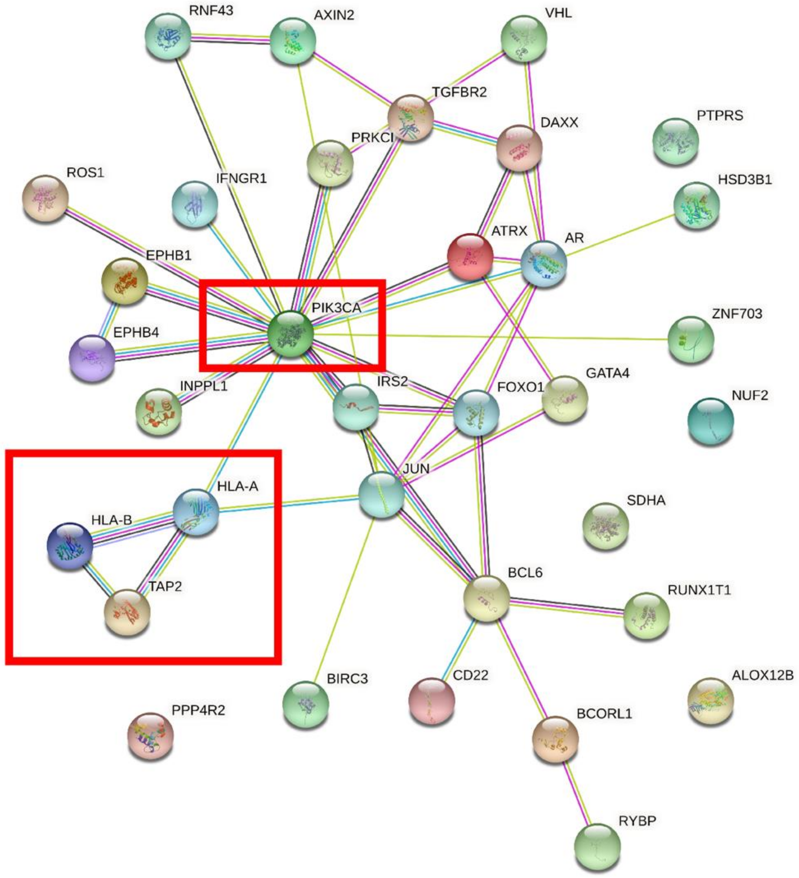 Genes 13 00287 g004 550