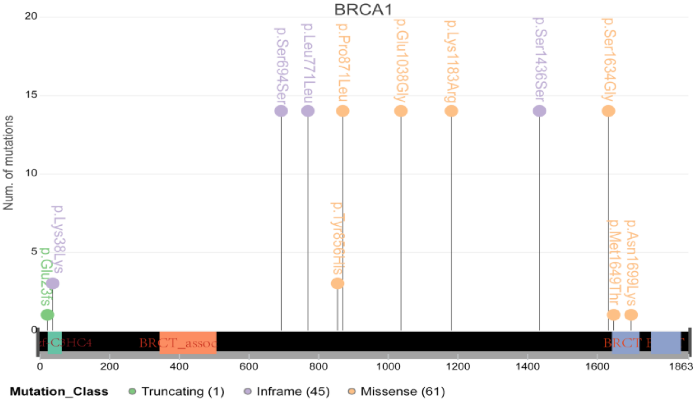 Genes 13 00287 g007 550