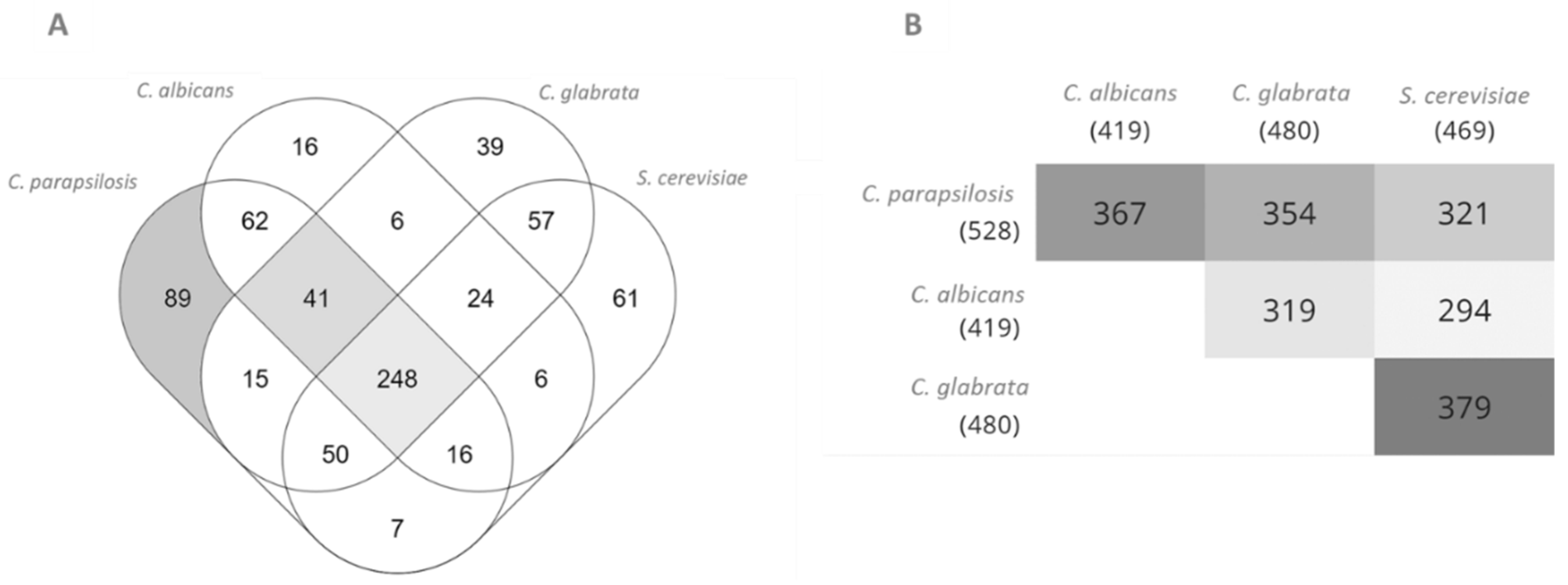 Genes 13 00303 g001 550