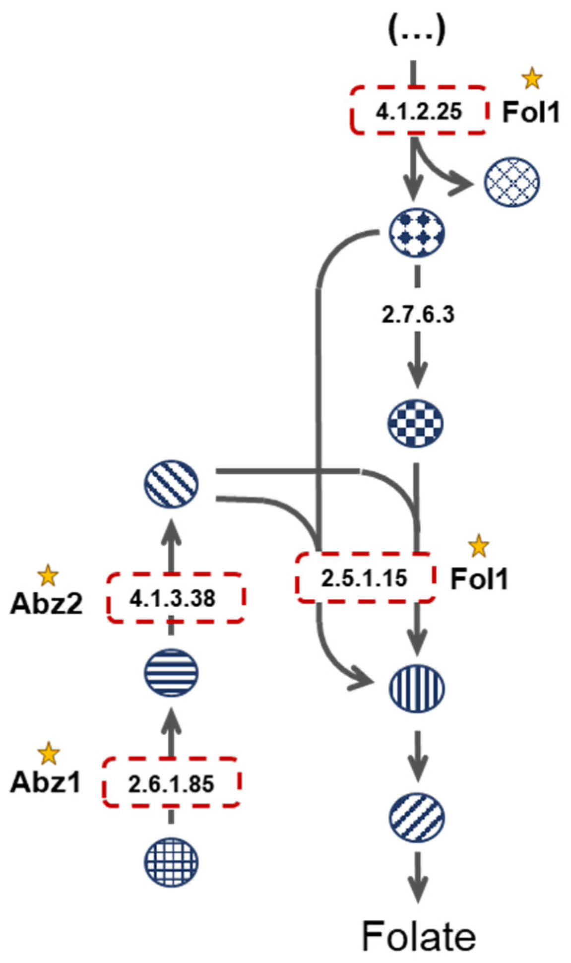 Genes 13 00303 g003 550