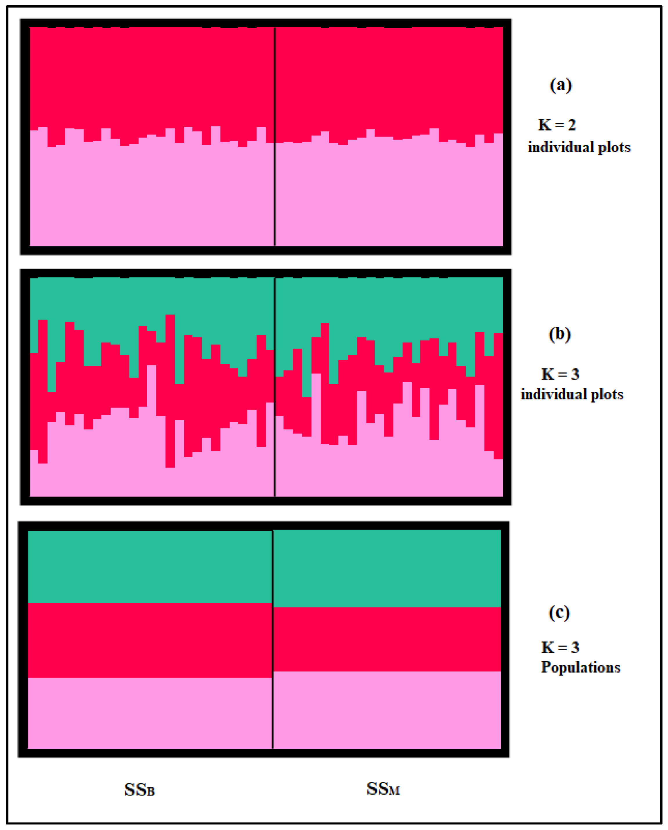 Genes 13 00304 g005 Genes 13 00304 g005