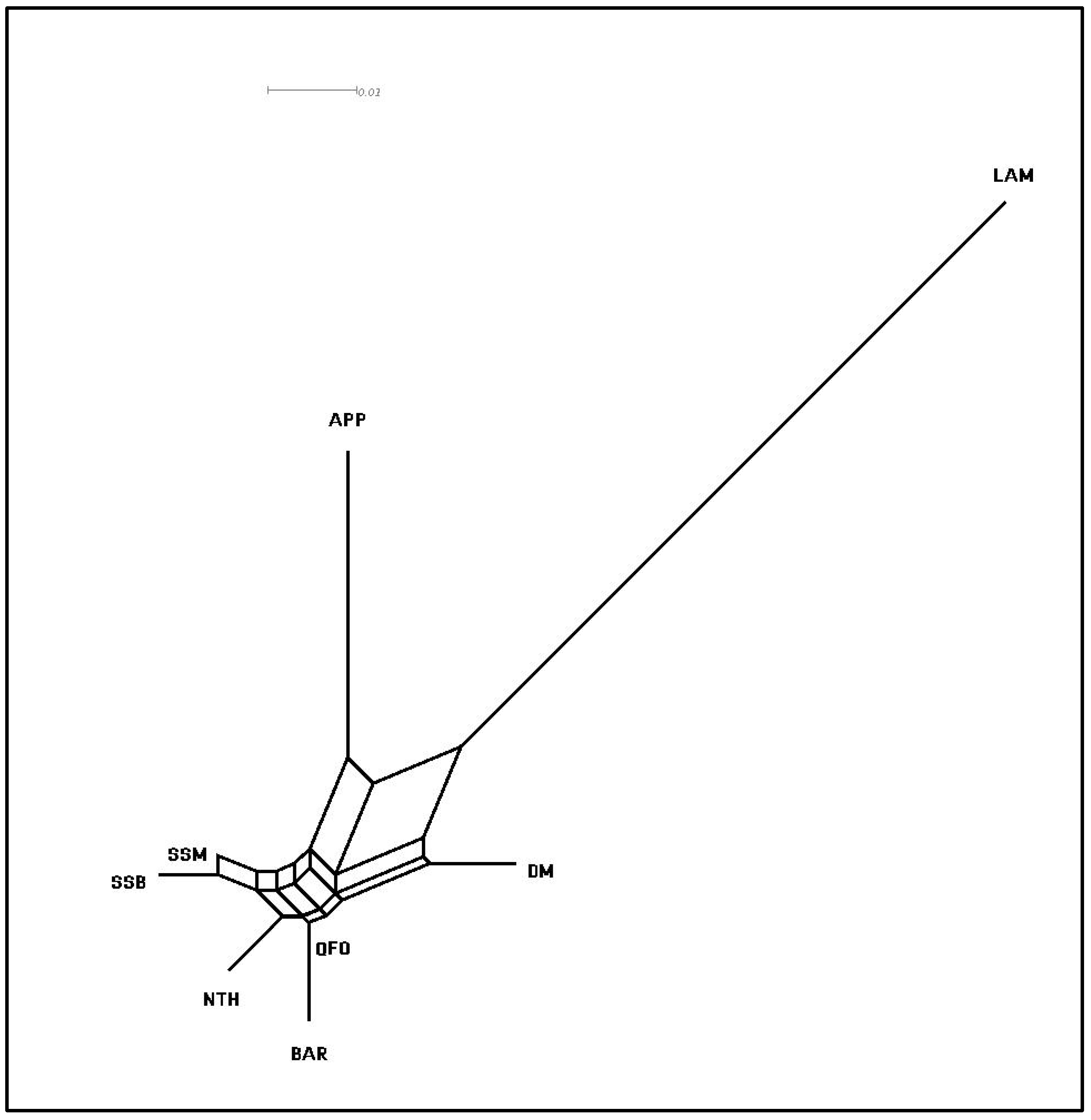 Genes 13 00304 g006 Genes 13 00304 g006