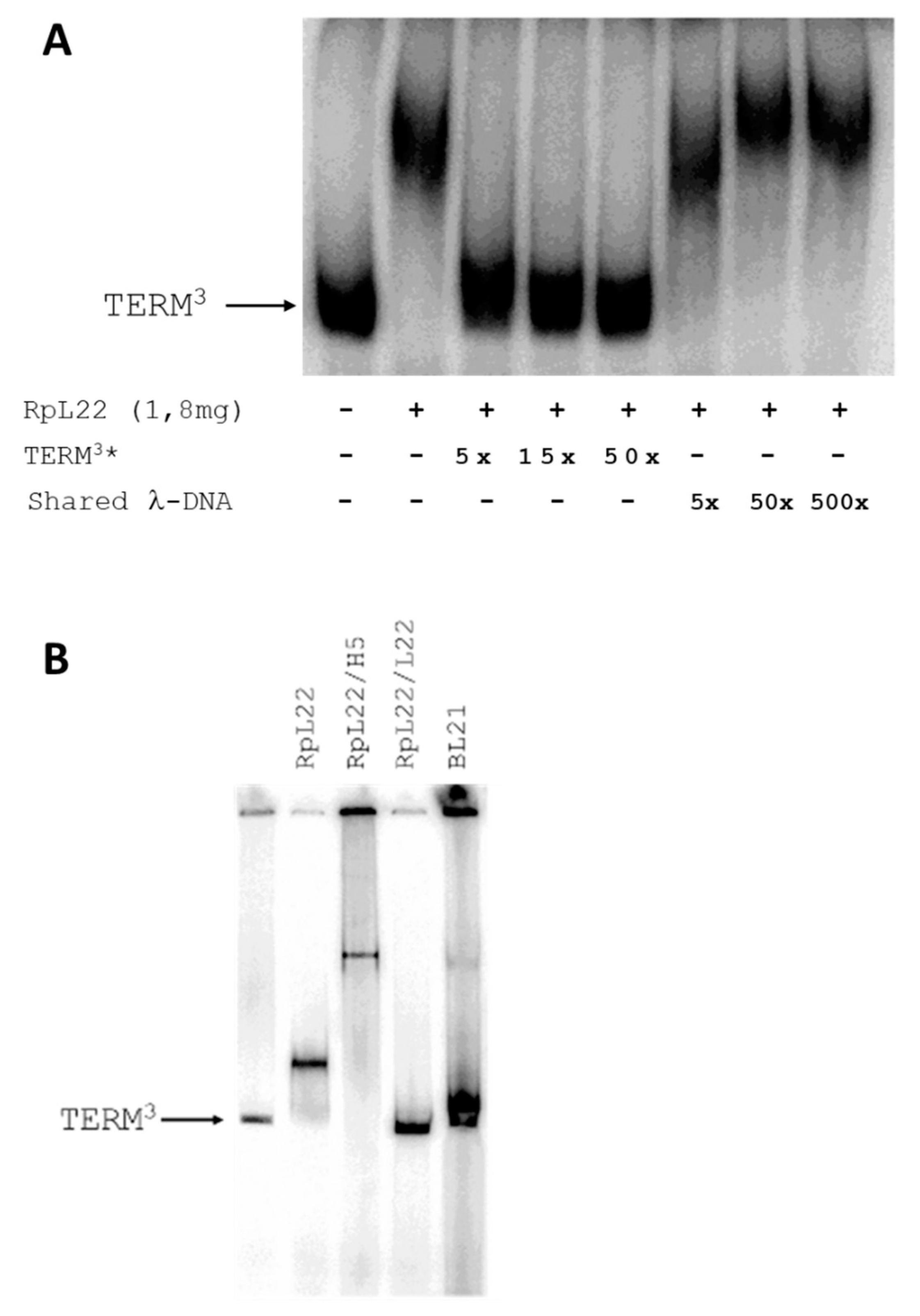 Genes 13 00305 g003 550