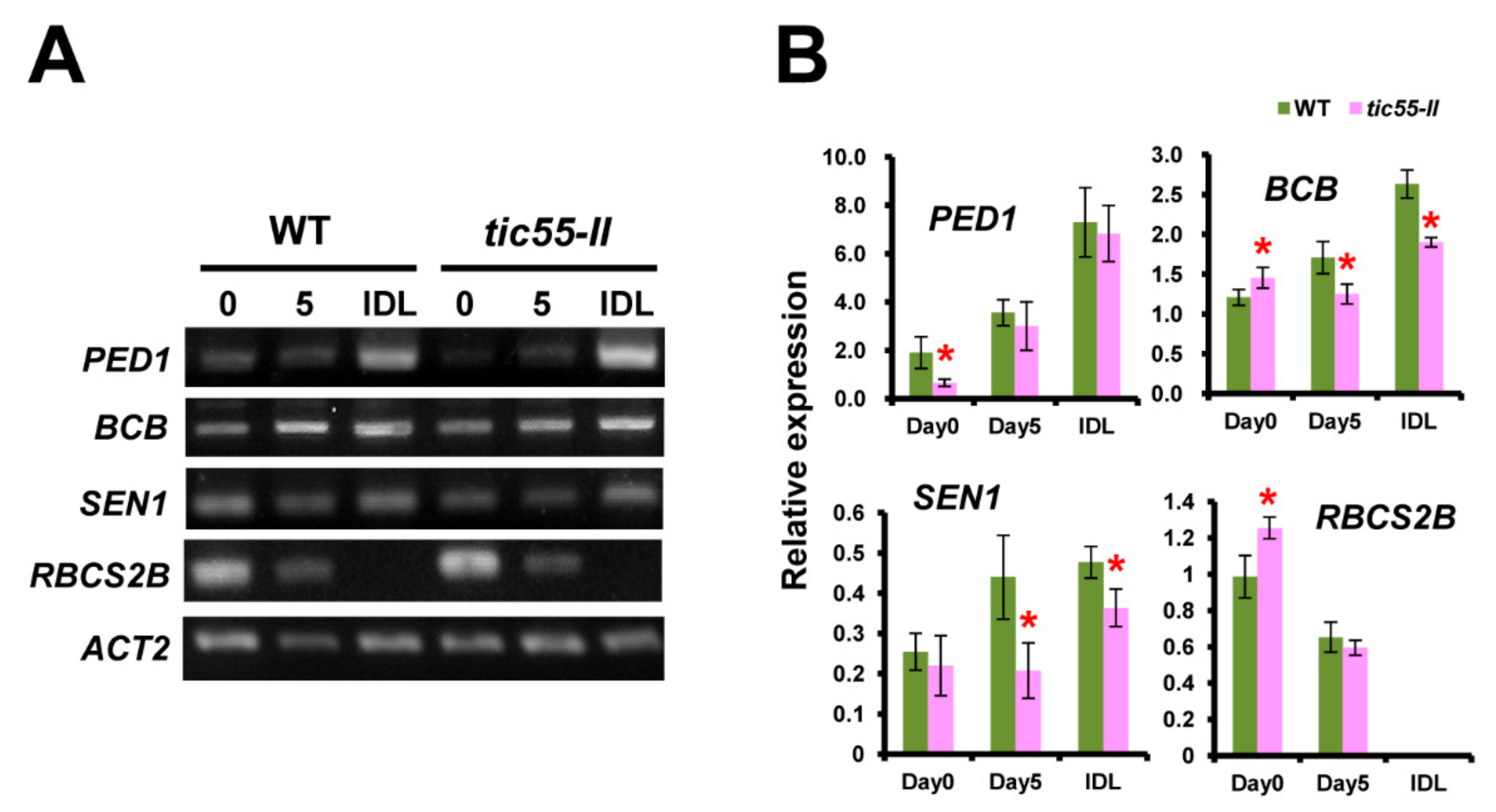 Genes 13 00308 g002 Genes 13 00308 g002