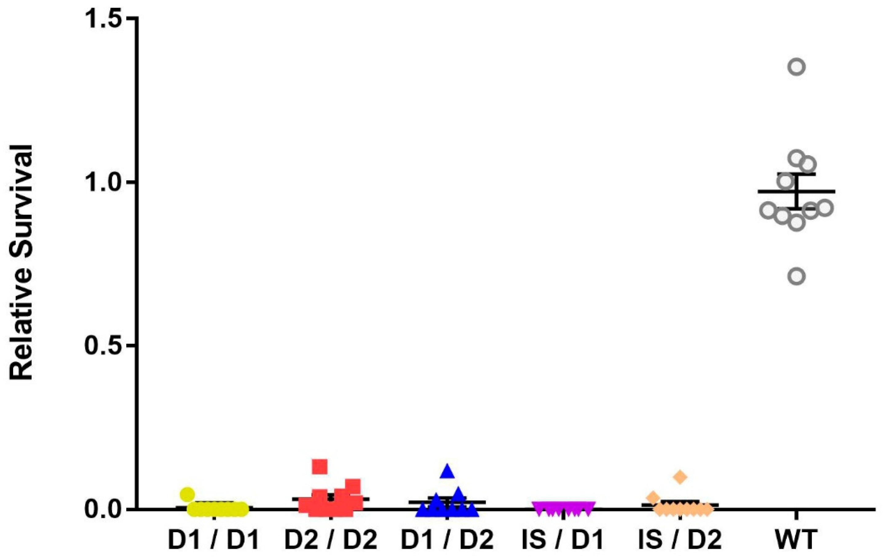 Genes 13 00312 g001 Genes 13 00312 g001