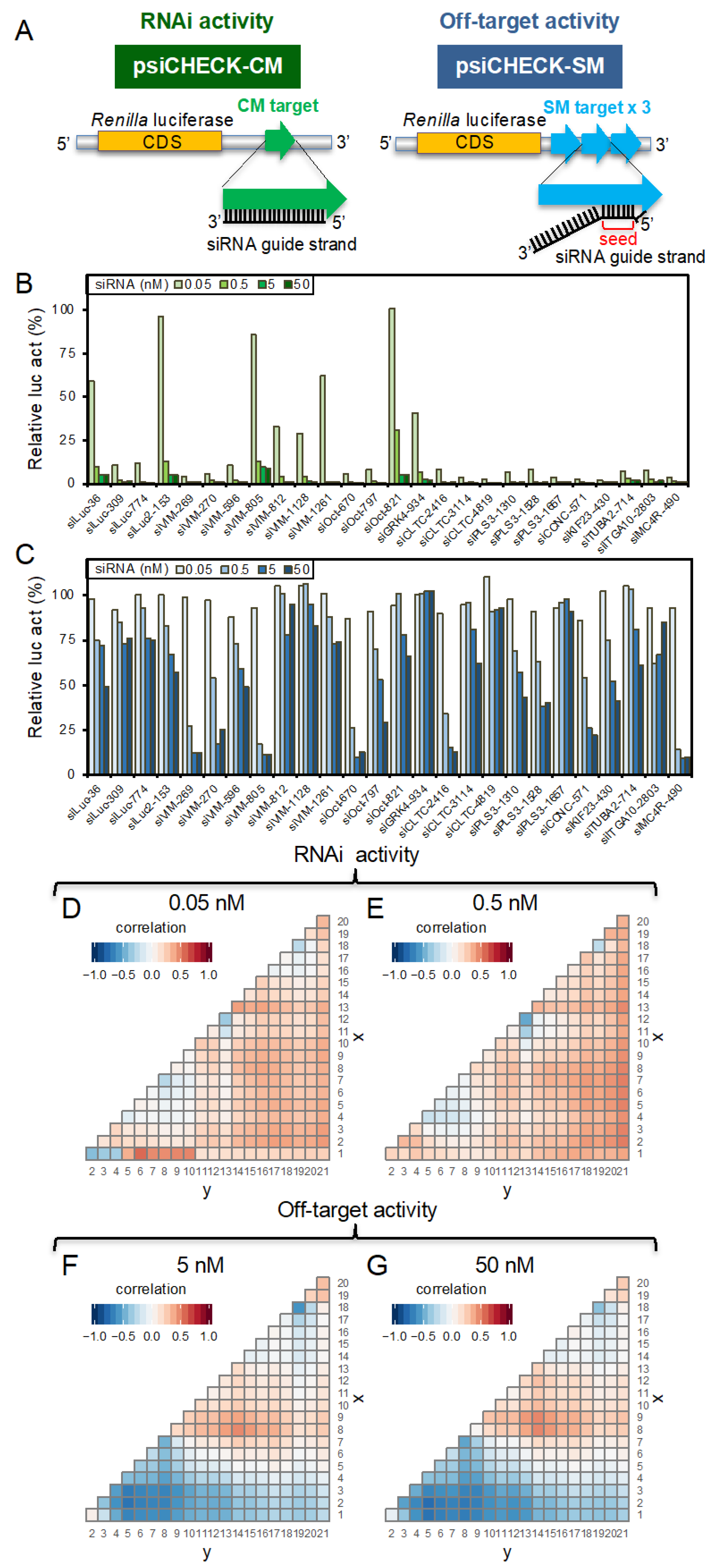 Genes Free Full Text The Sirna Off Target Effect Is Determined By Base Pairing Stabilities Of Two Different Regions With Opposite Effects Html