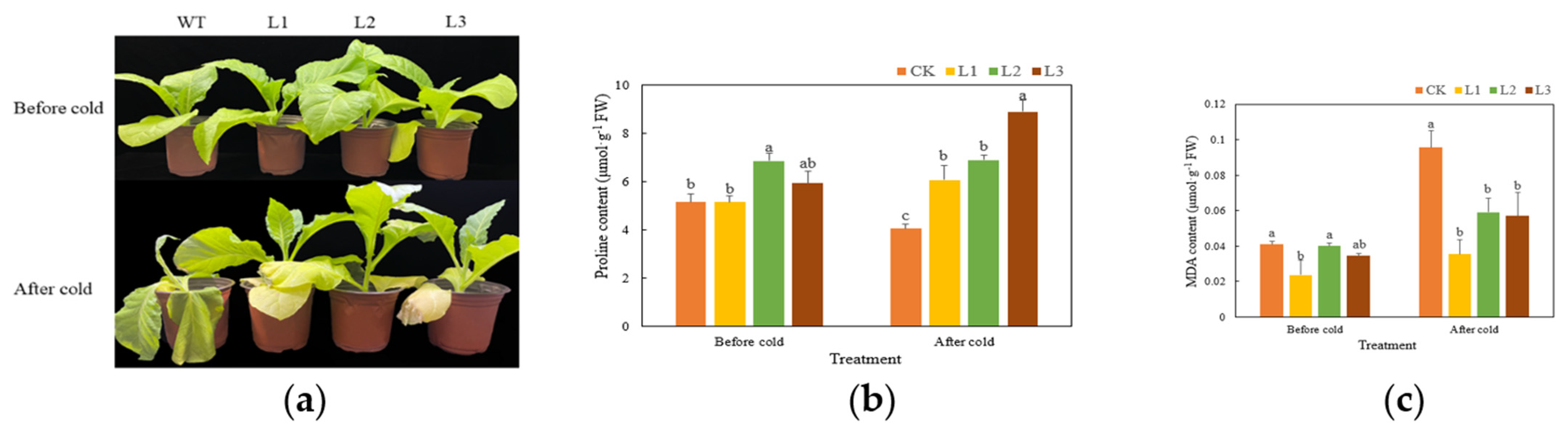 Genes 13 00329 g005a