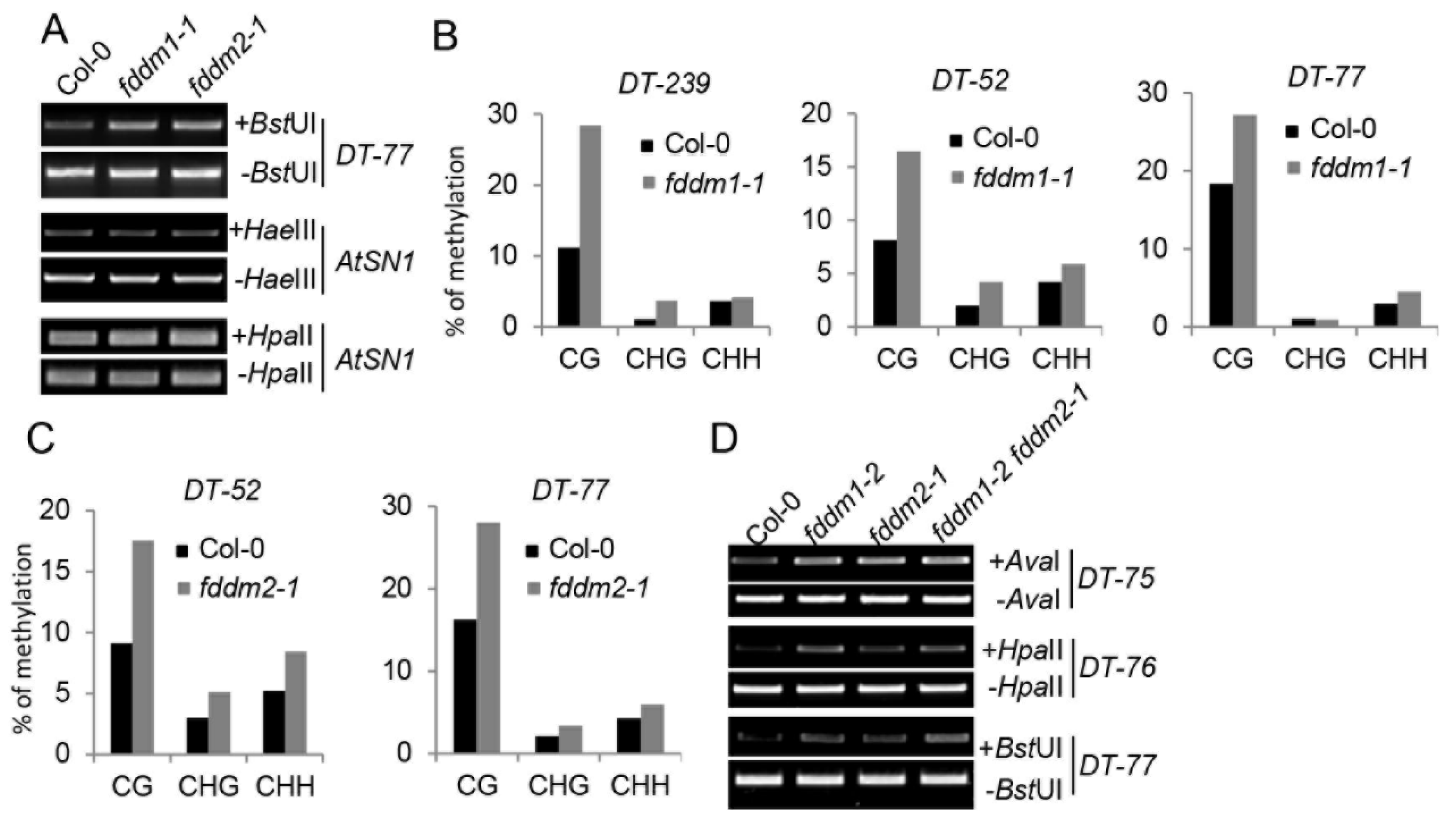 Genes 13 00339 g002 Genes 13 00339 g002