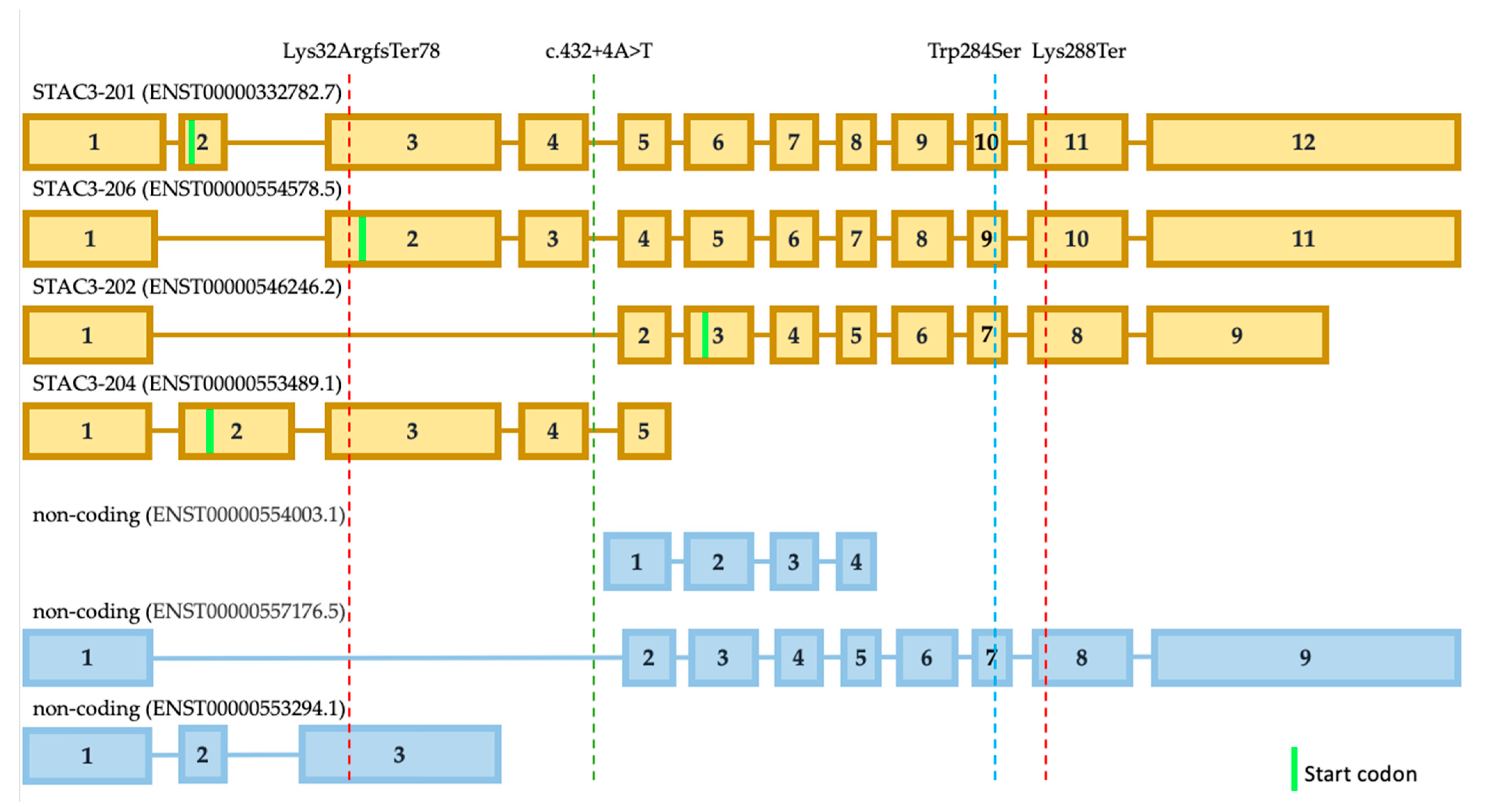 Genes 13 00341 g003 550